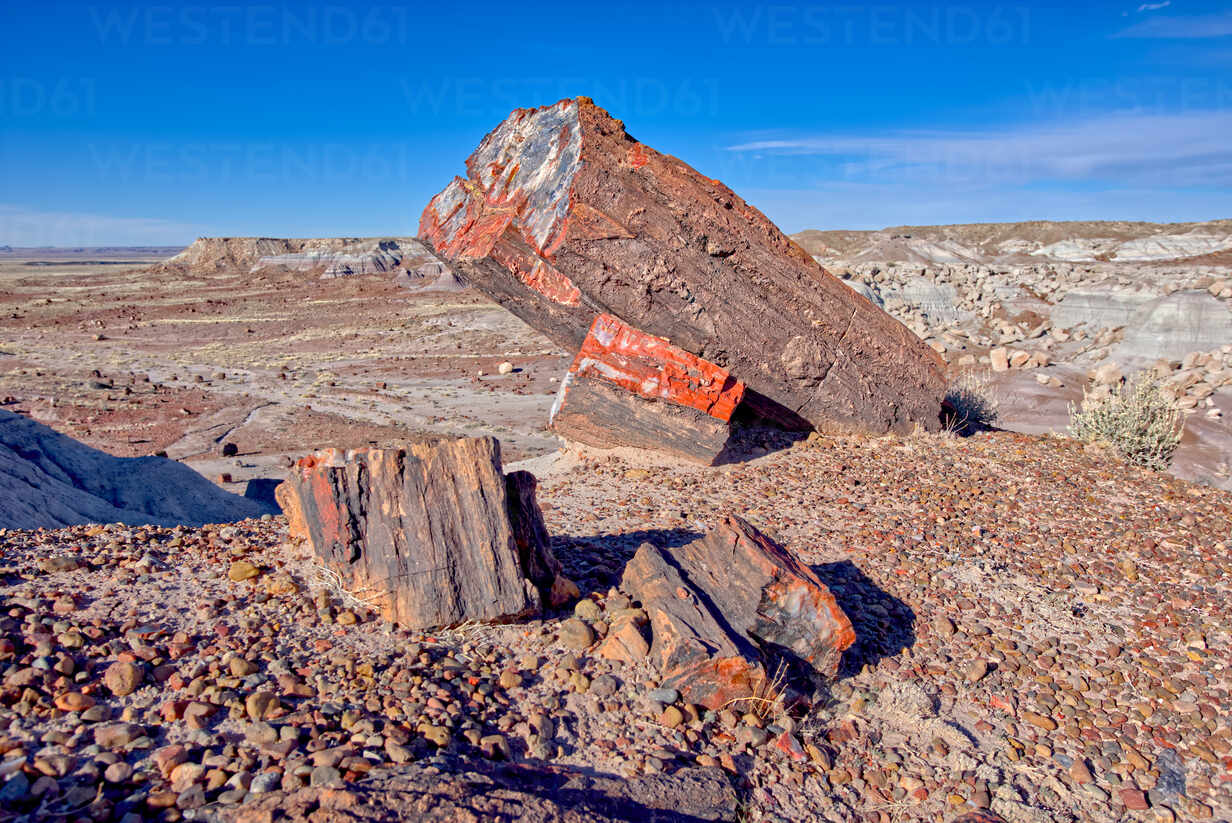 Petrified Forest National Park Wallpapers