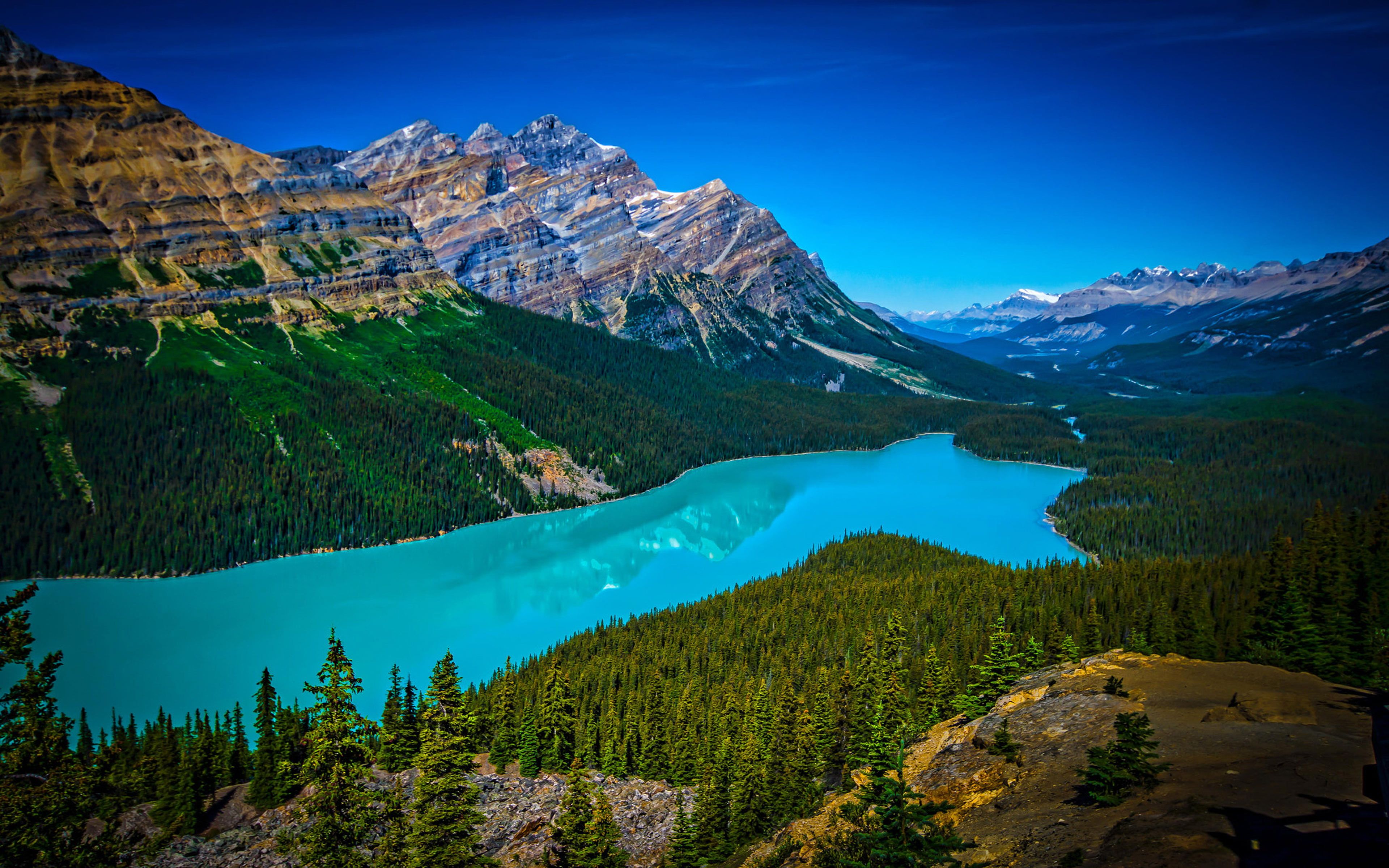 Peyto Lake Wallpapers