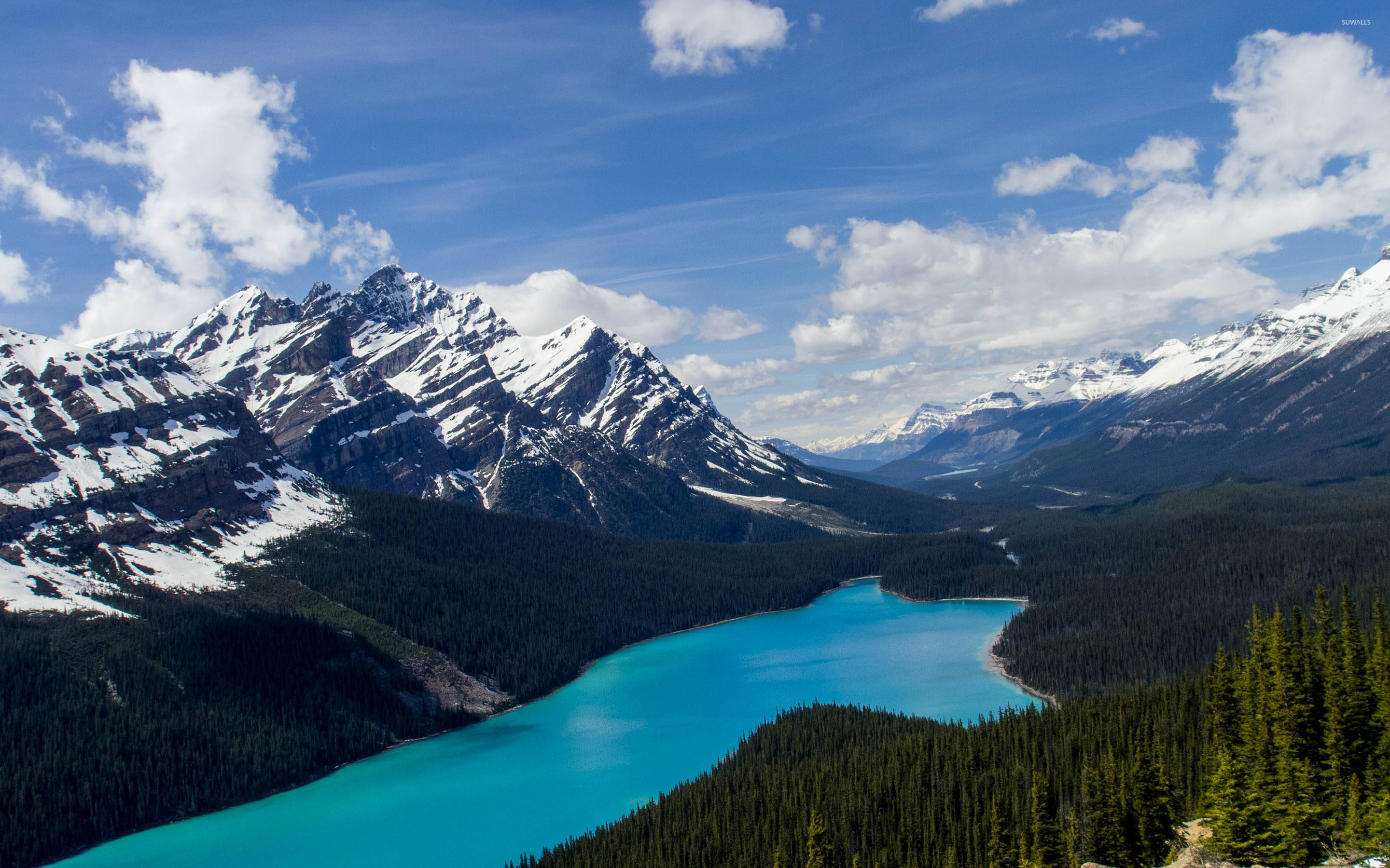 Peyto Lake Wallpapers