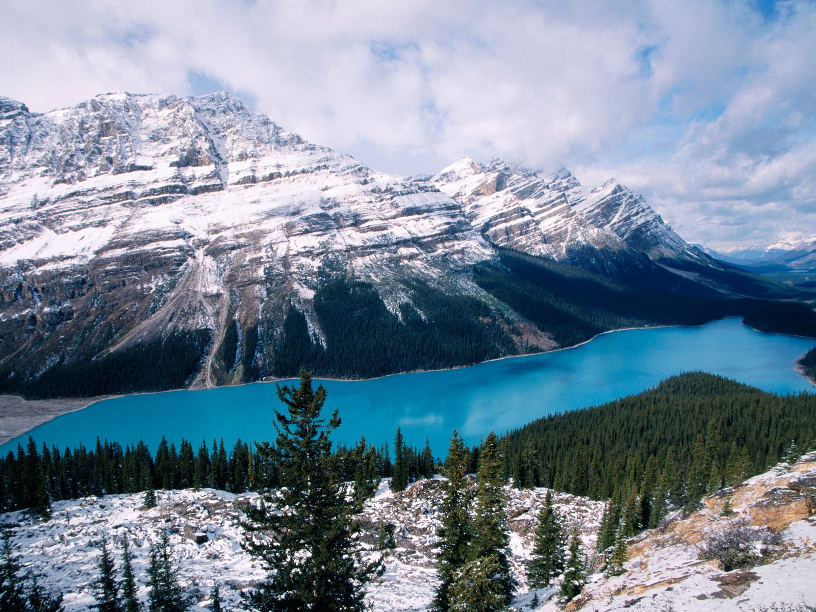 Peyto Lake Wallpapers