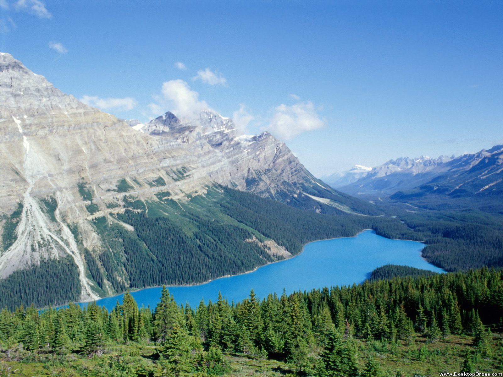 Peyto Lake Wallpapers