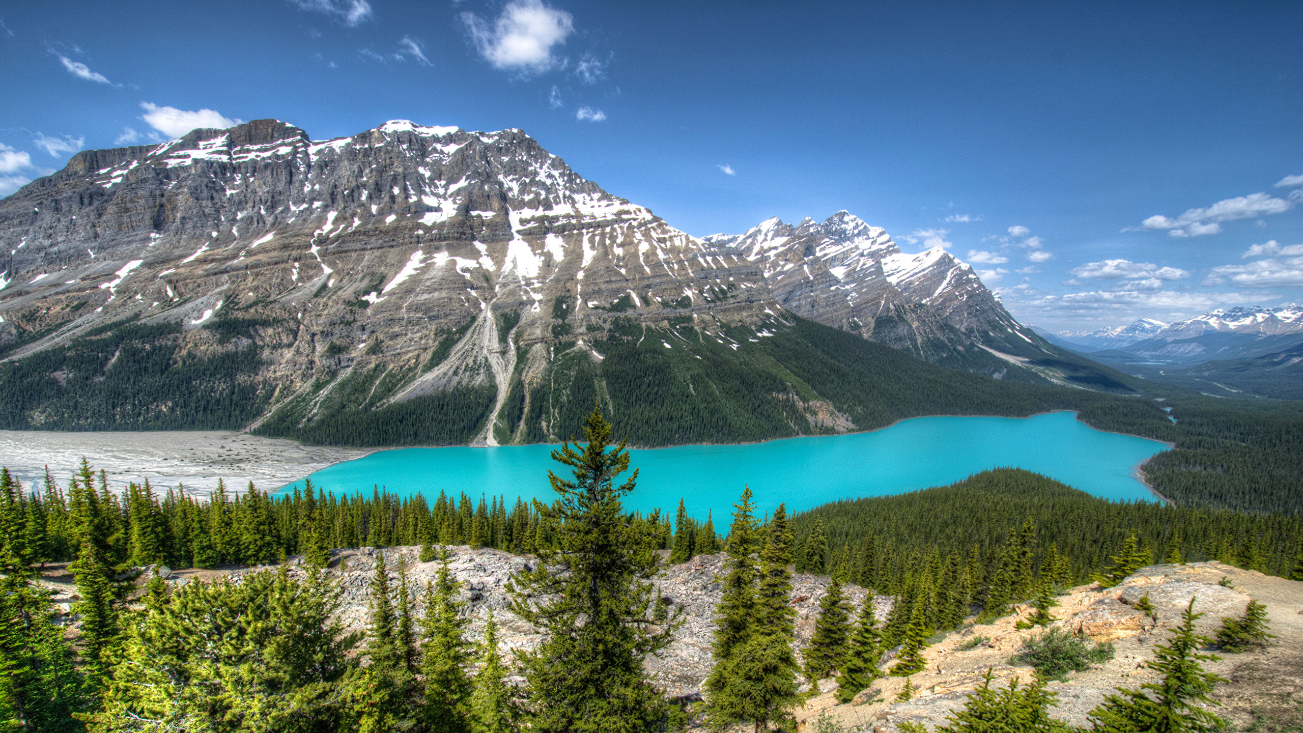 Peyto Lake Wallpapers