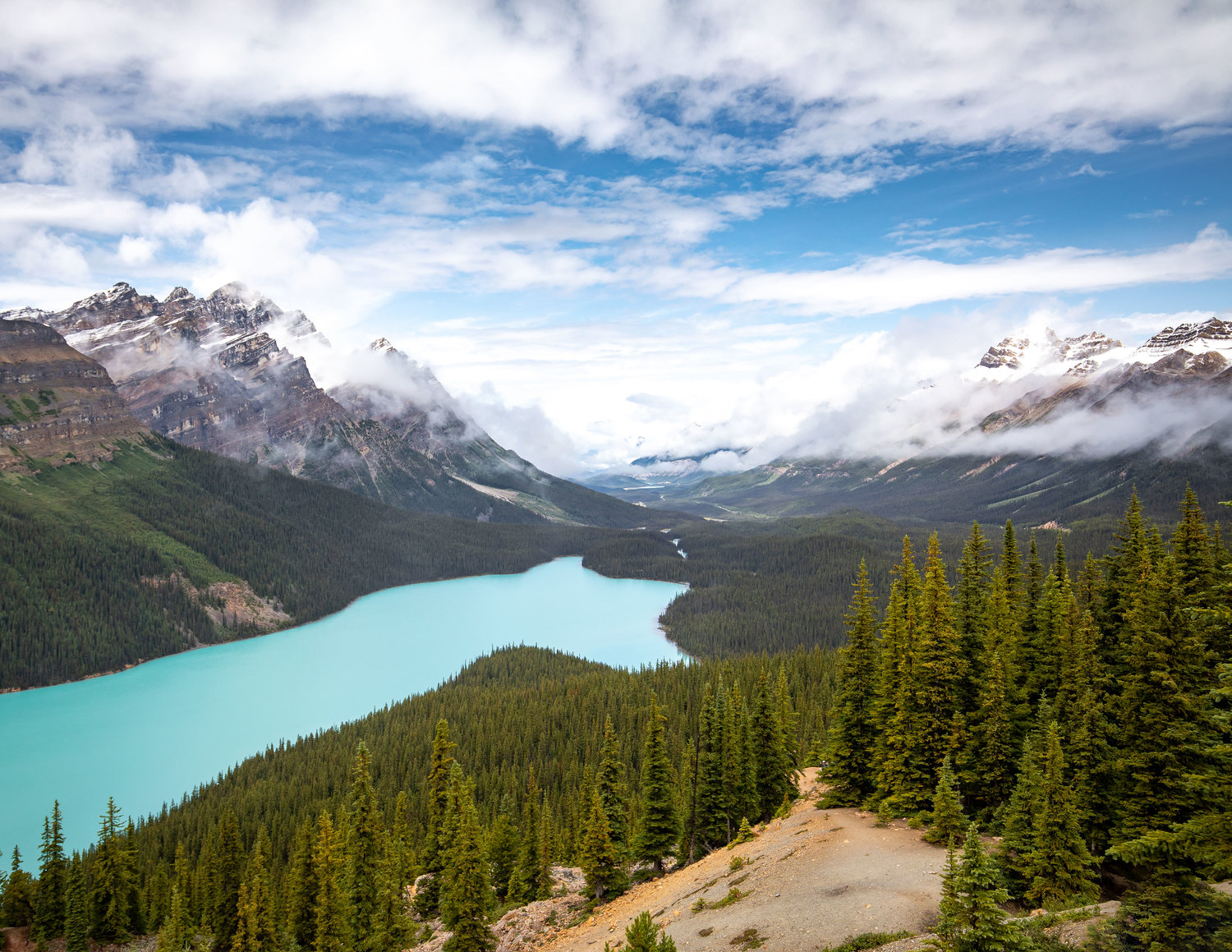 Peyto Lake Wallpapers