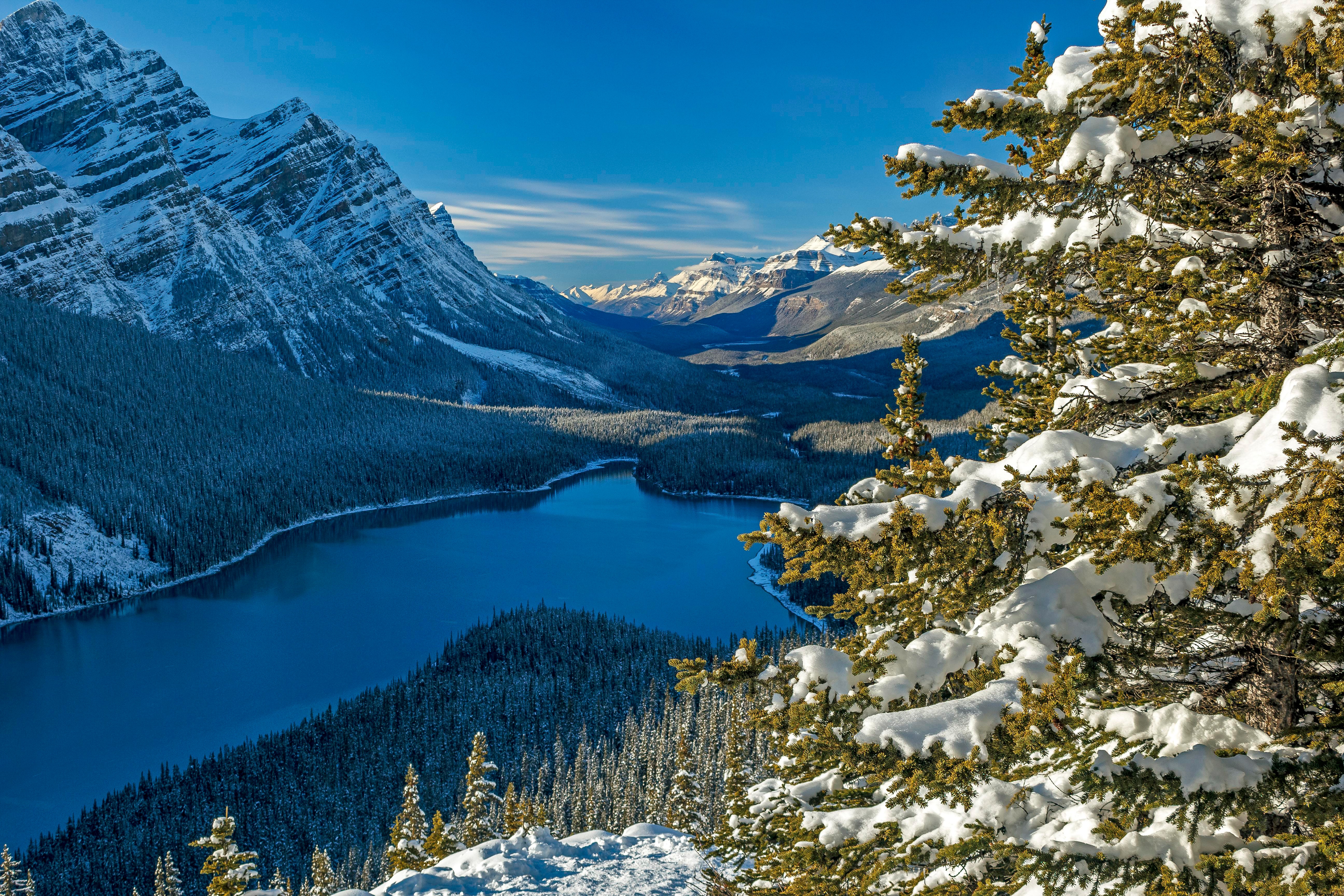 Peyto Lake Wallpapers