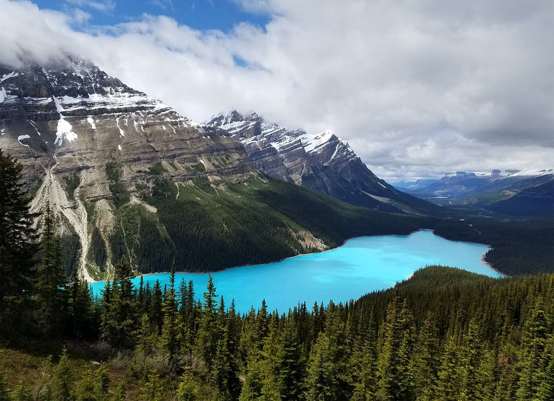 Peyto Lake Wallpapers