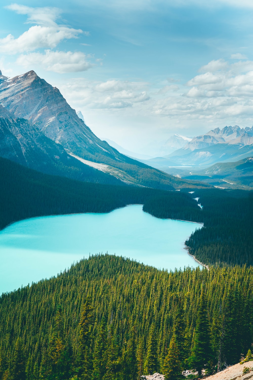 Peyto Lake Canada Mountains Wallpapers