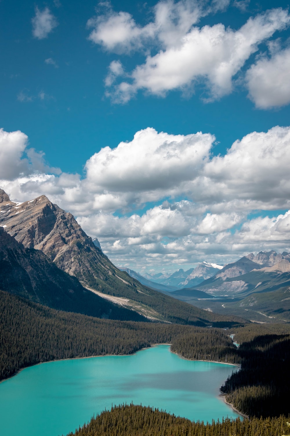 Peyto Lake Canada Mountains Wallpapers