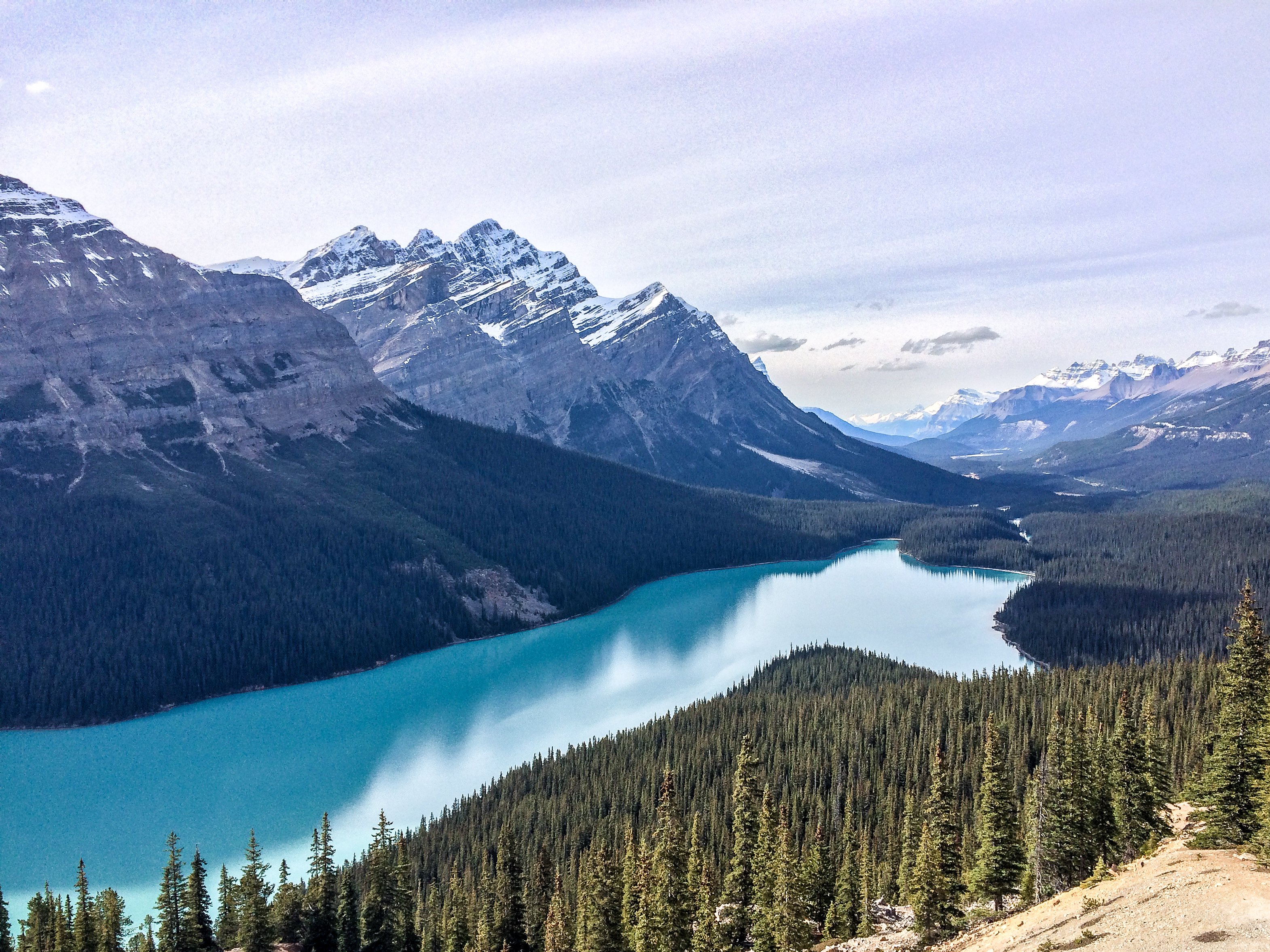 Peyto Lake Canada Mountains Wallpapers