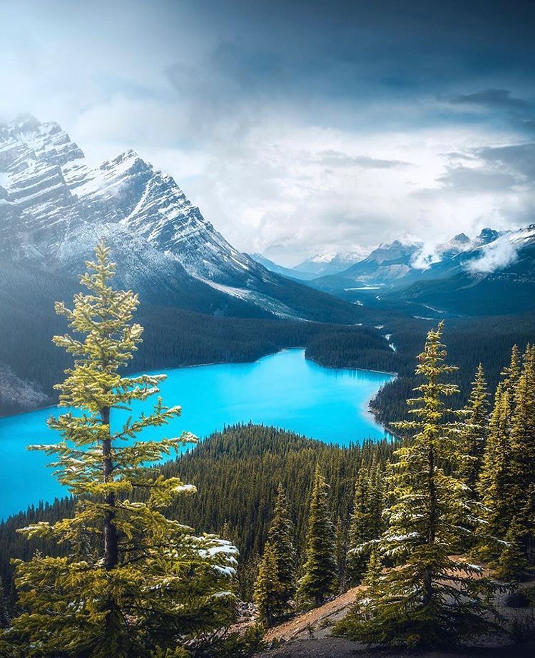 Peyto Lake Canada Mountains Wallpapers