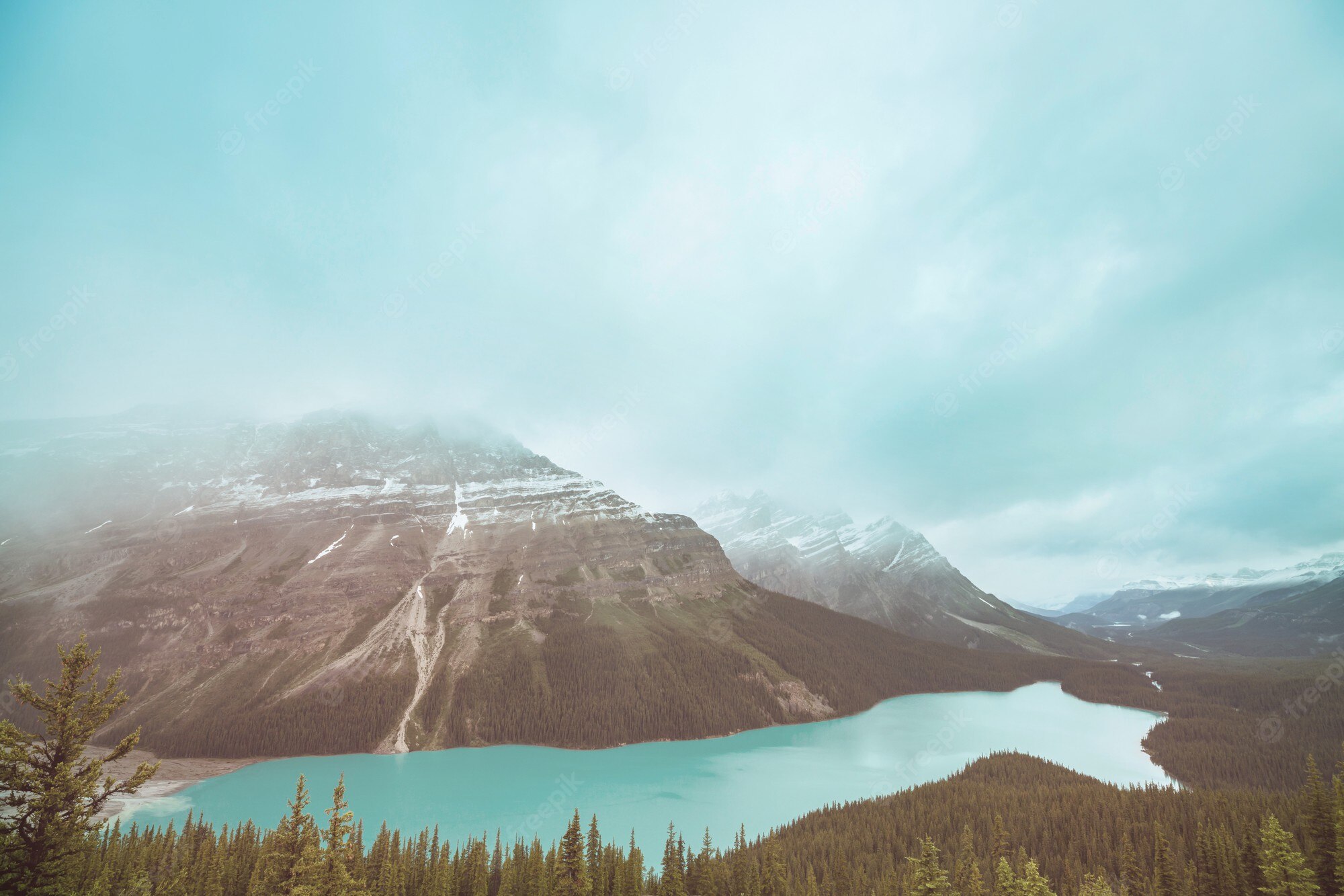 Peyto Lake Canada Mountains Wallpapers