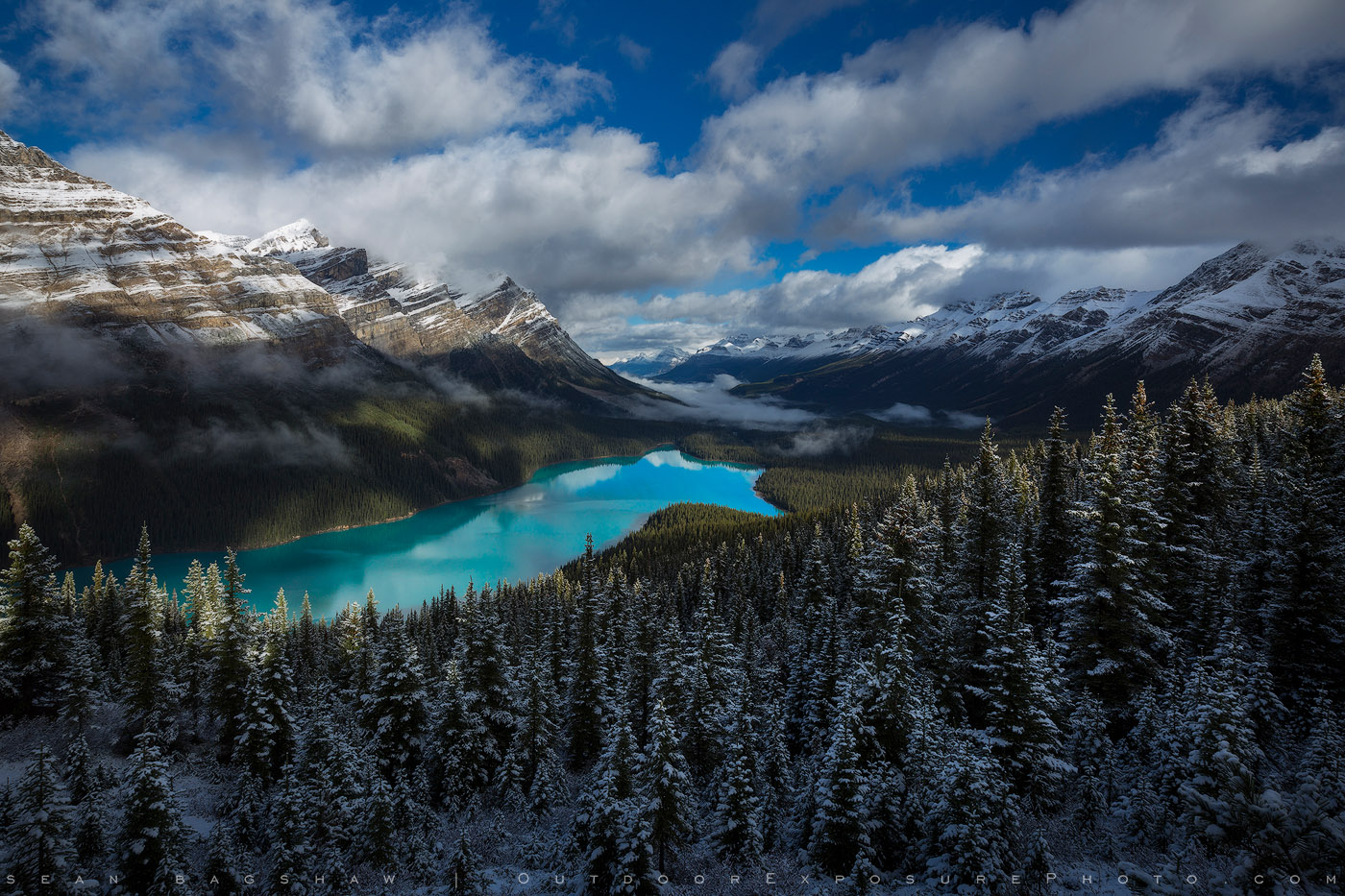 Peyto Lake Canada Mountains Wallpapers