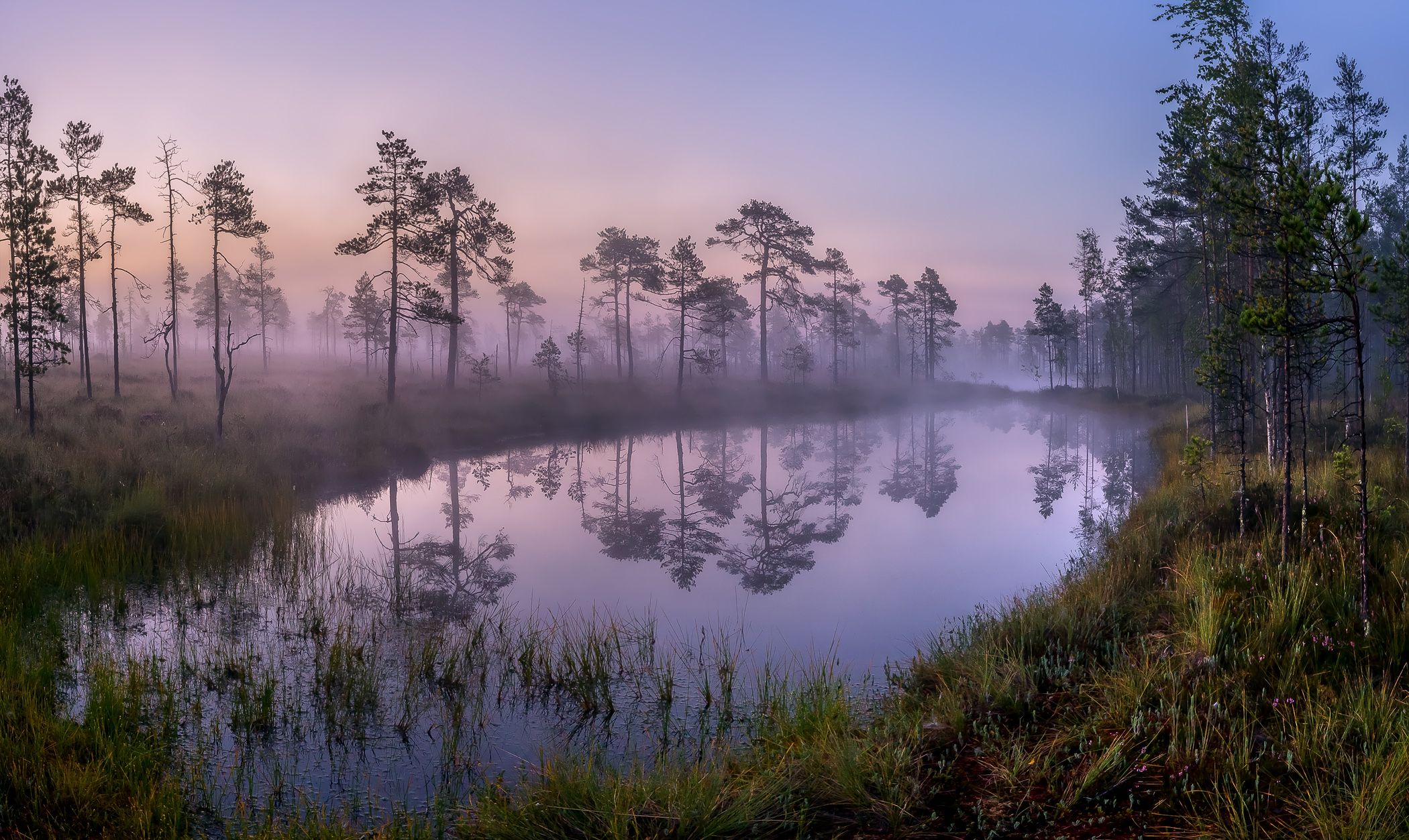 Pier And Foggy Lake Wallpapers