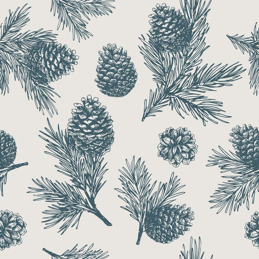 Pine Cone Wallpapers