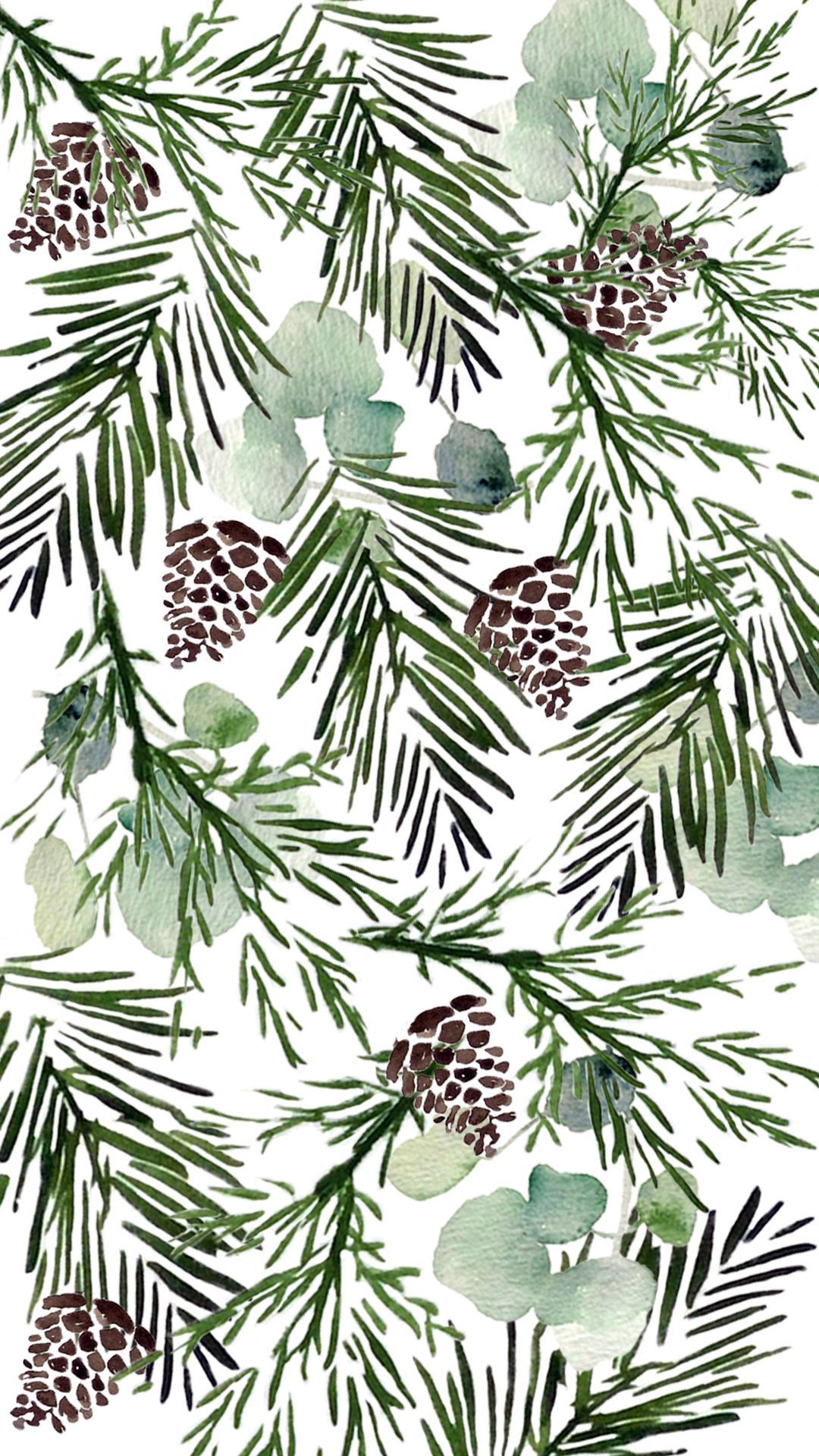 Pine Cone Wallpapers