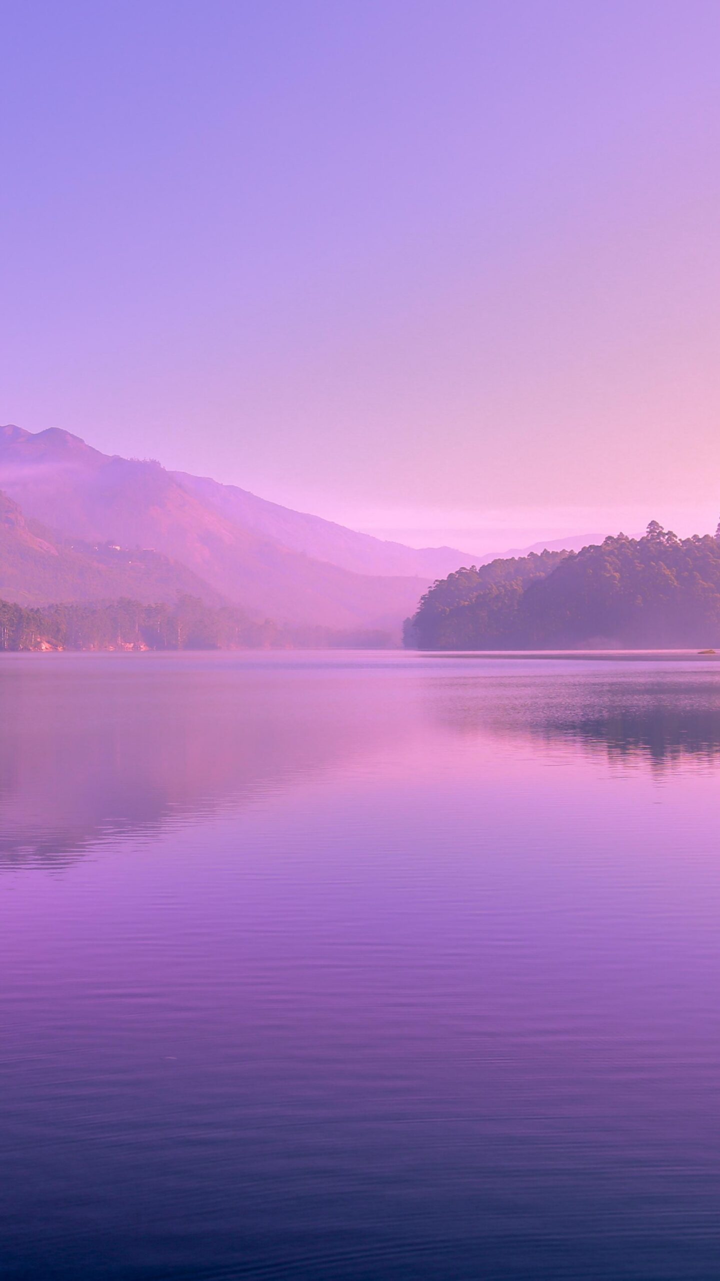 Pink Purple Sunset Near Lake Wallpapers