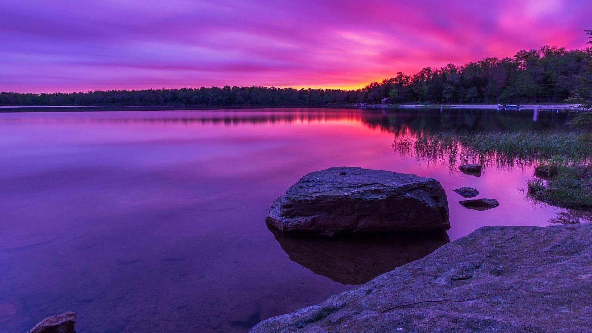 Pink Purple Sunset Near Lake Wallpapers