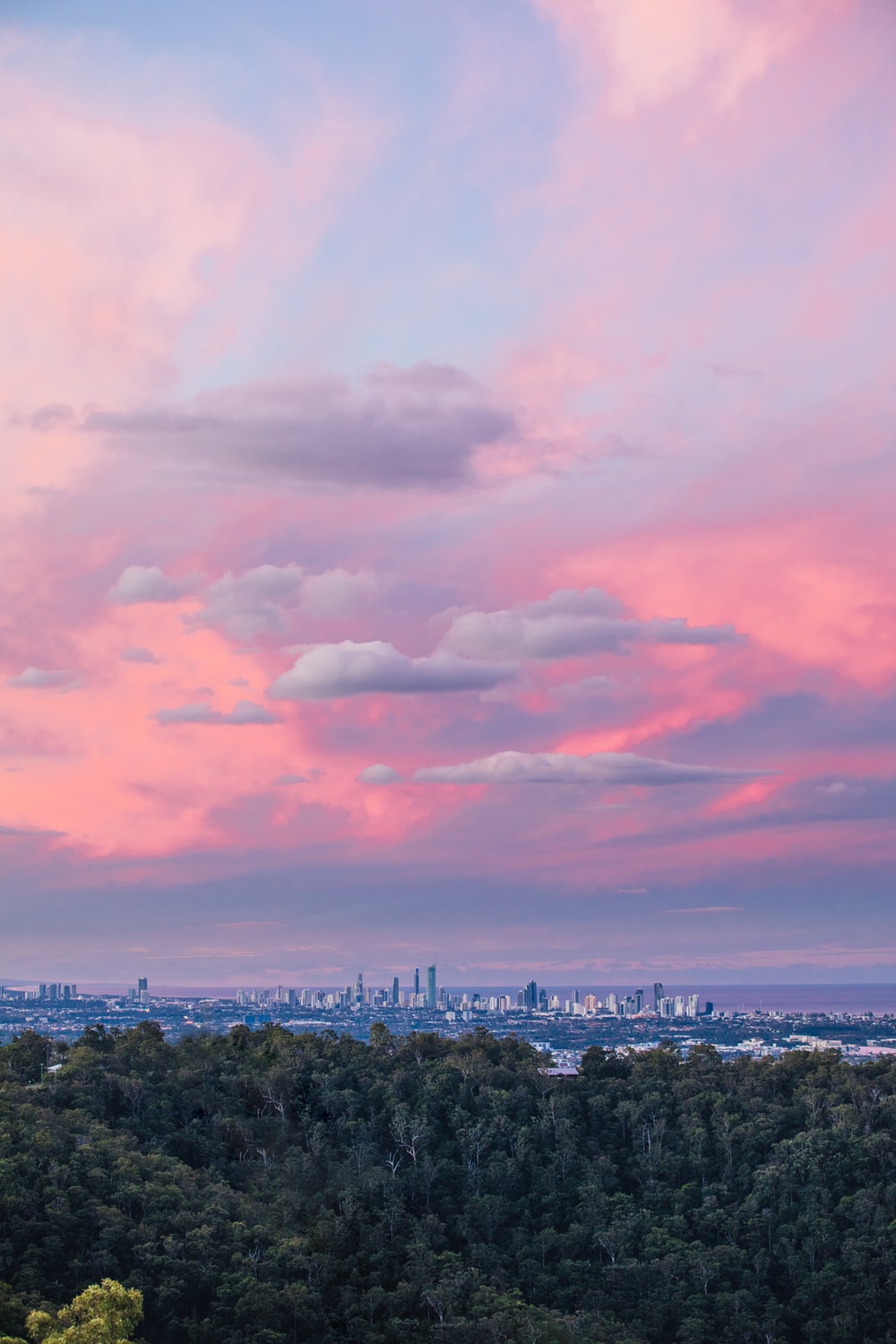 Pink Sky In Urban City Wallpapers