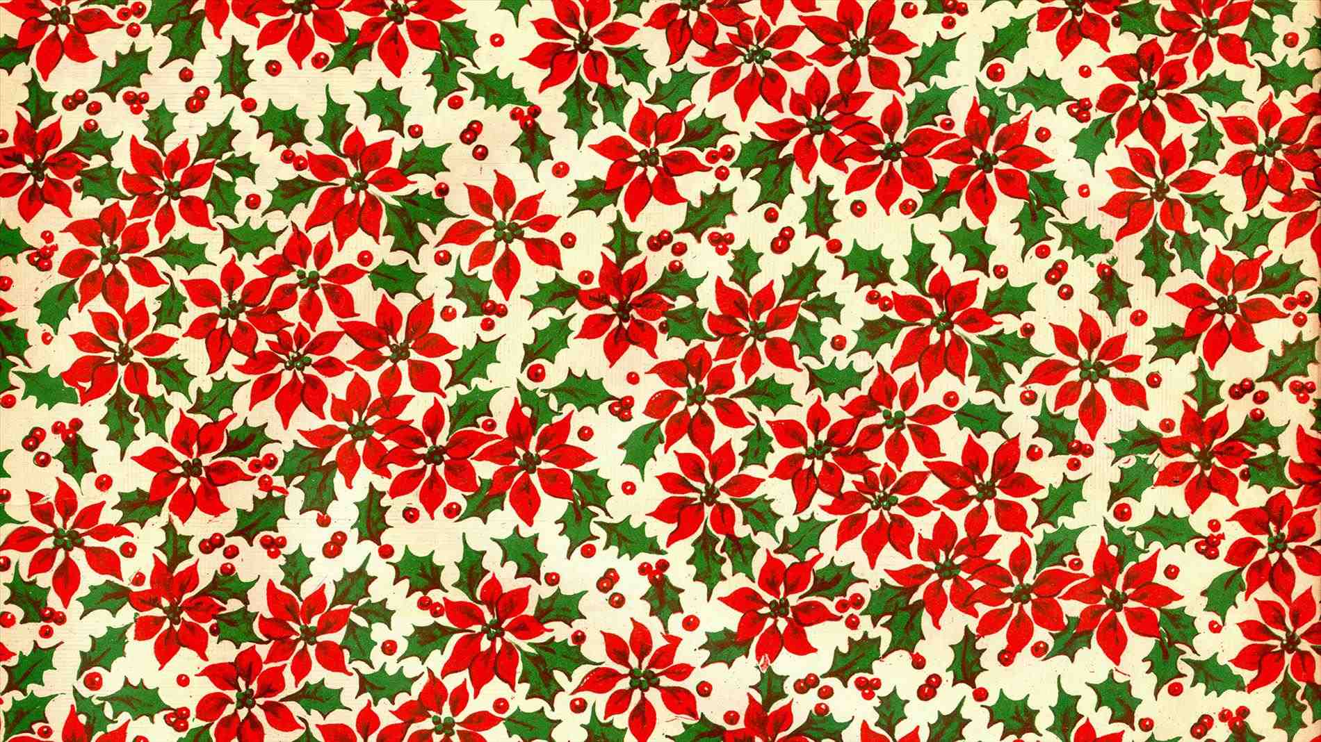 Poinsettia Wallpapers