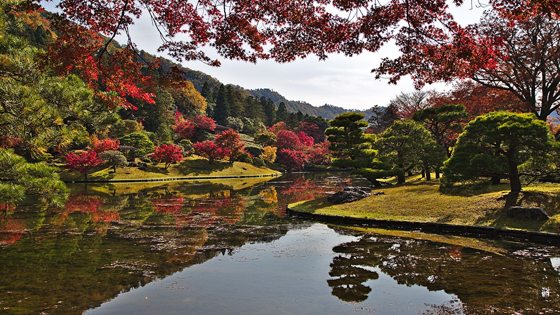 Pond Autumn Park Wallpapers