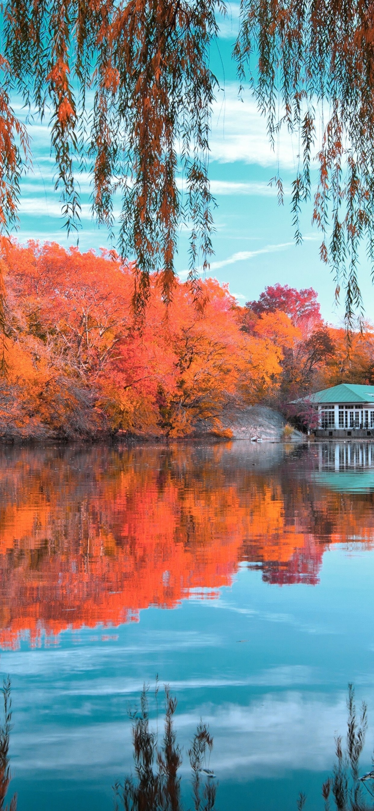 Pond Autumn Park Wallpapers