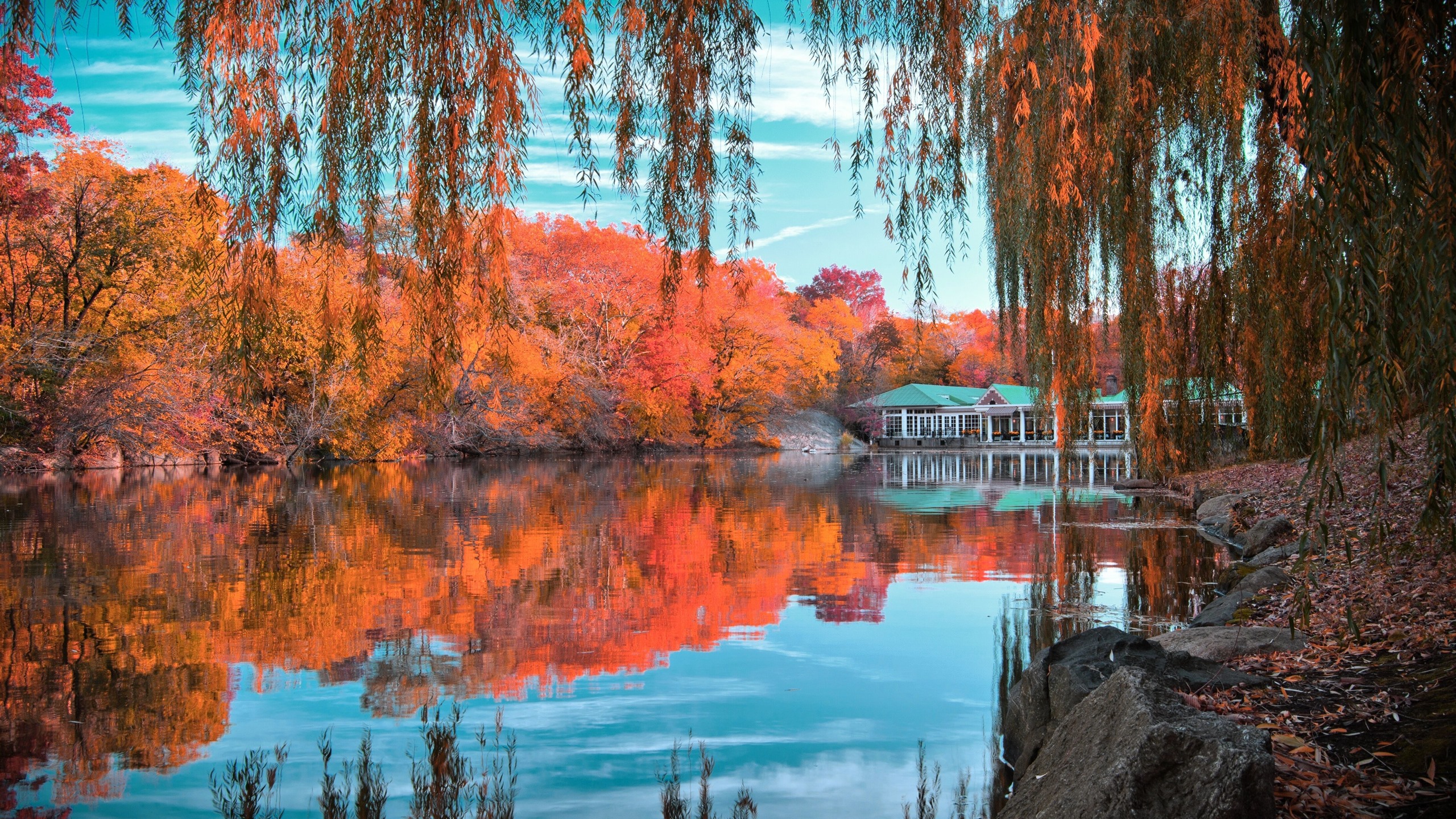 Pond Autumn Park Wallpapers