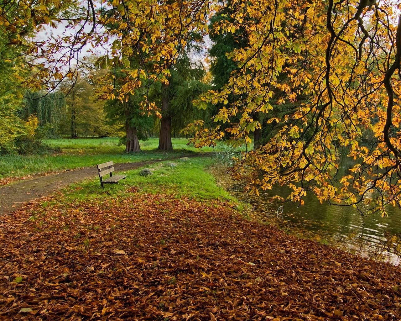 Pond Autumn Park Wallpapers