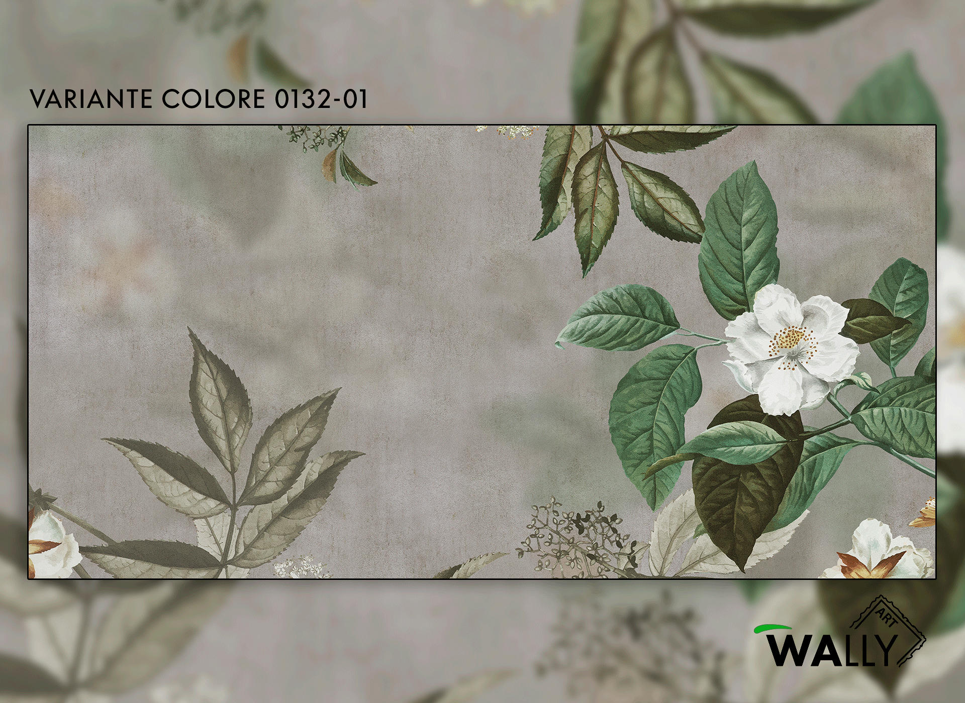 Primula Wallpapers