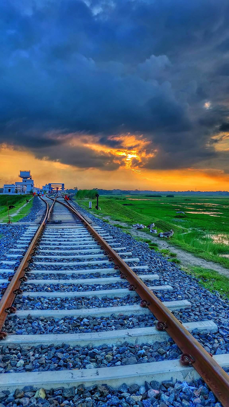 Railroad At Sunset Wallpapers