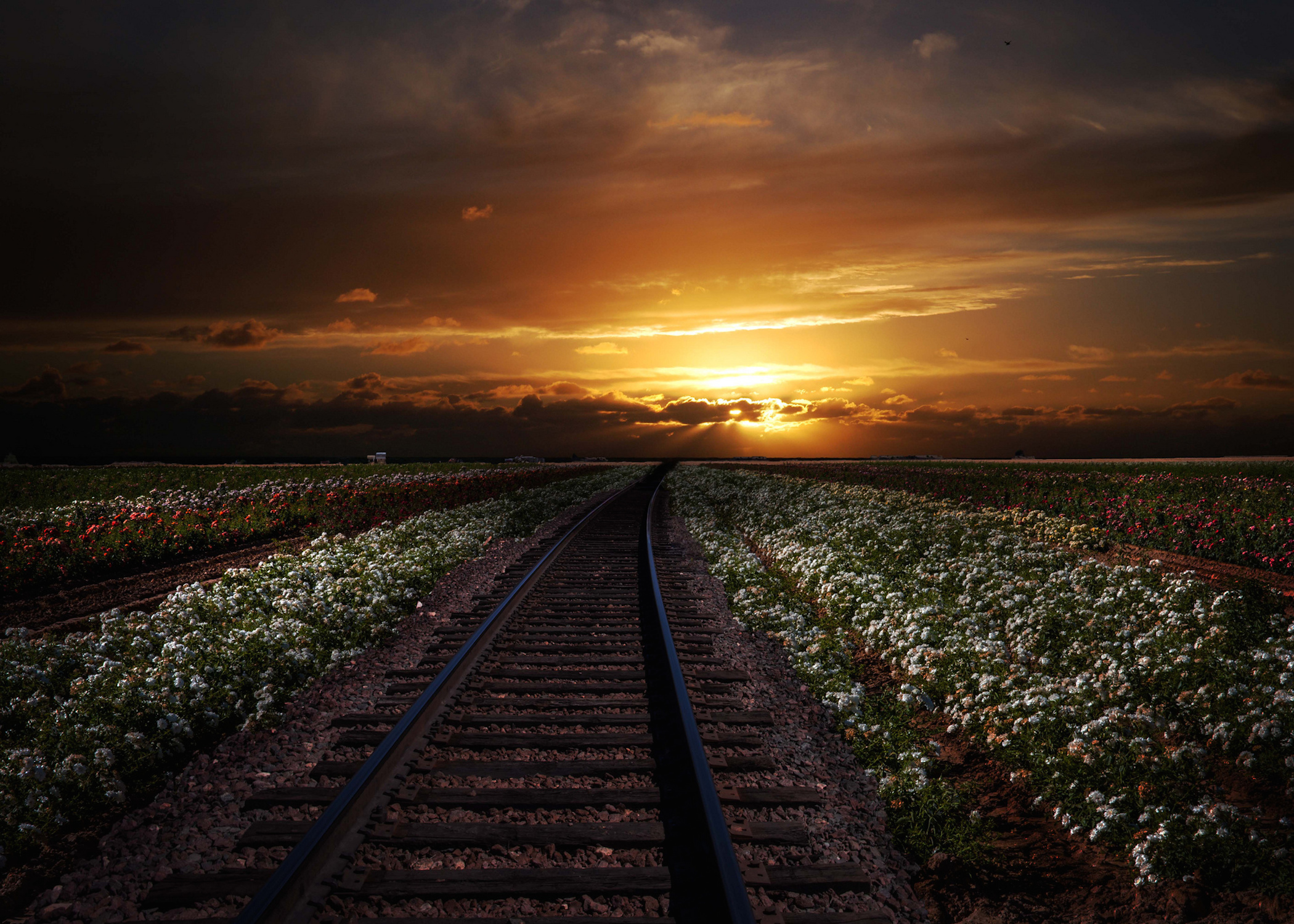 Railroad At Sunset Wallpapers