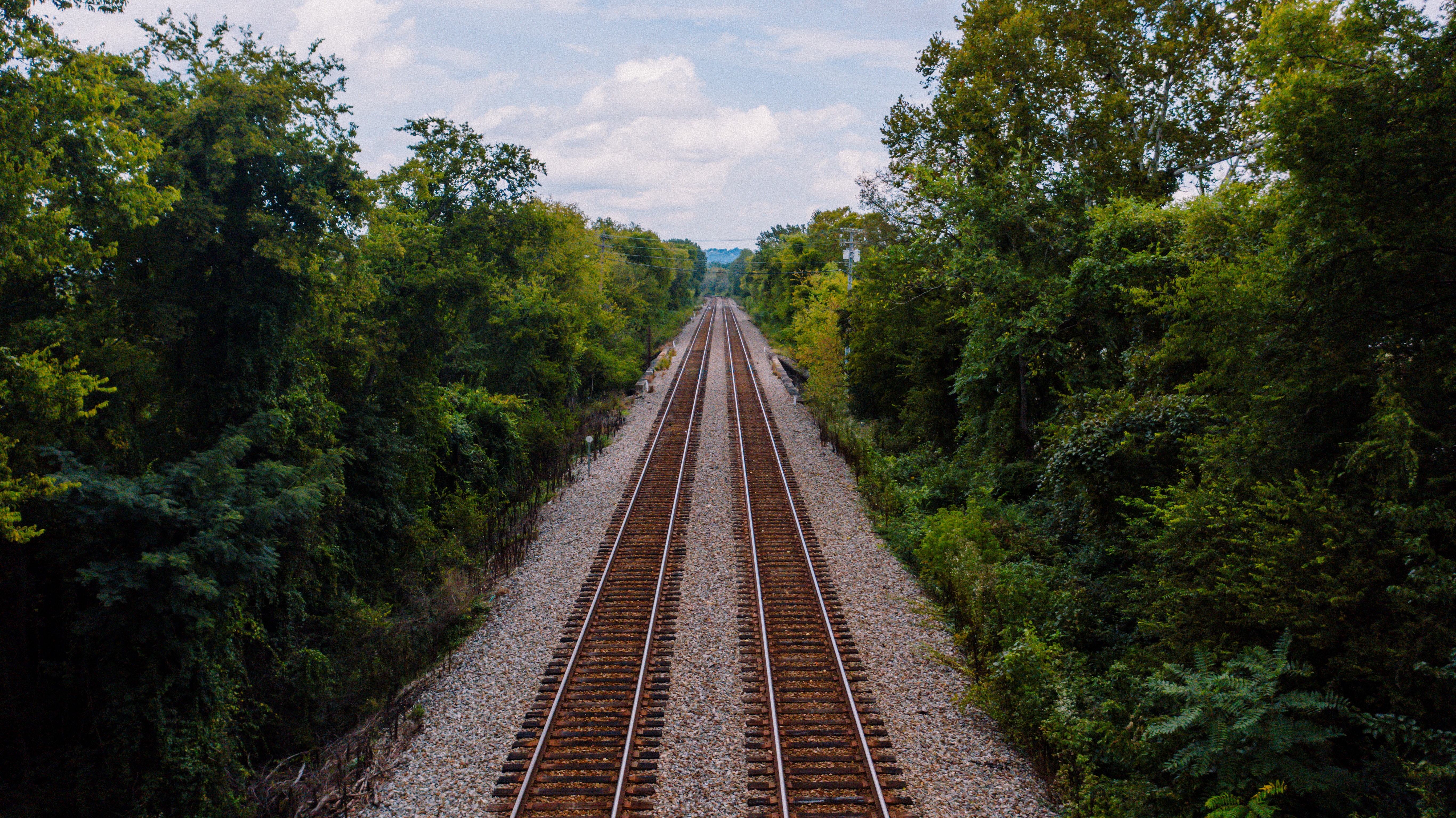 Railroad Forest Surrounding Wallpapers