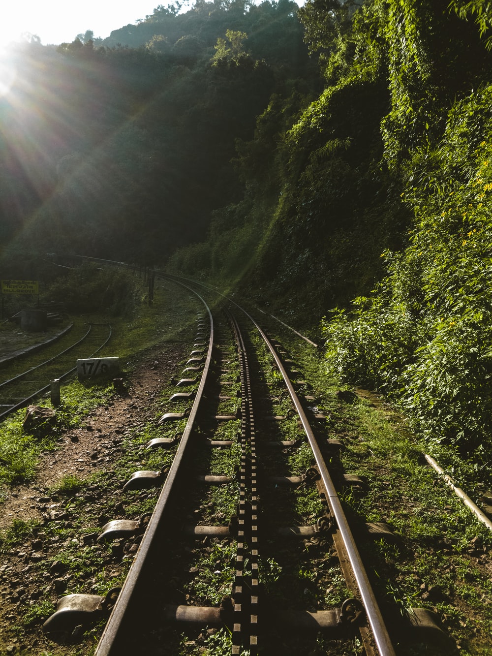 Railroad Forest Surrounding Wallpapers