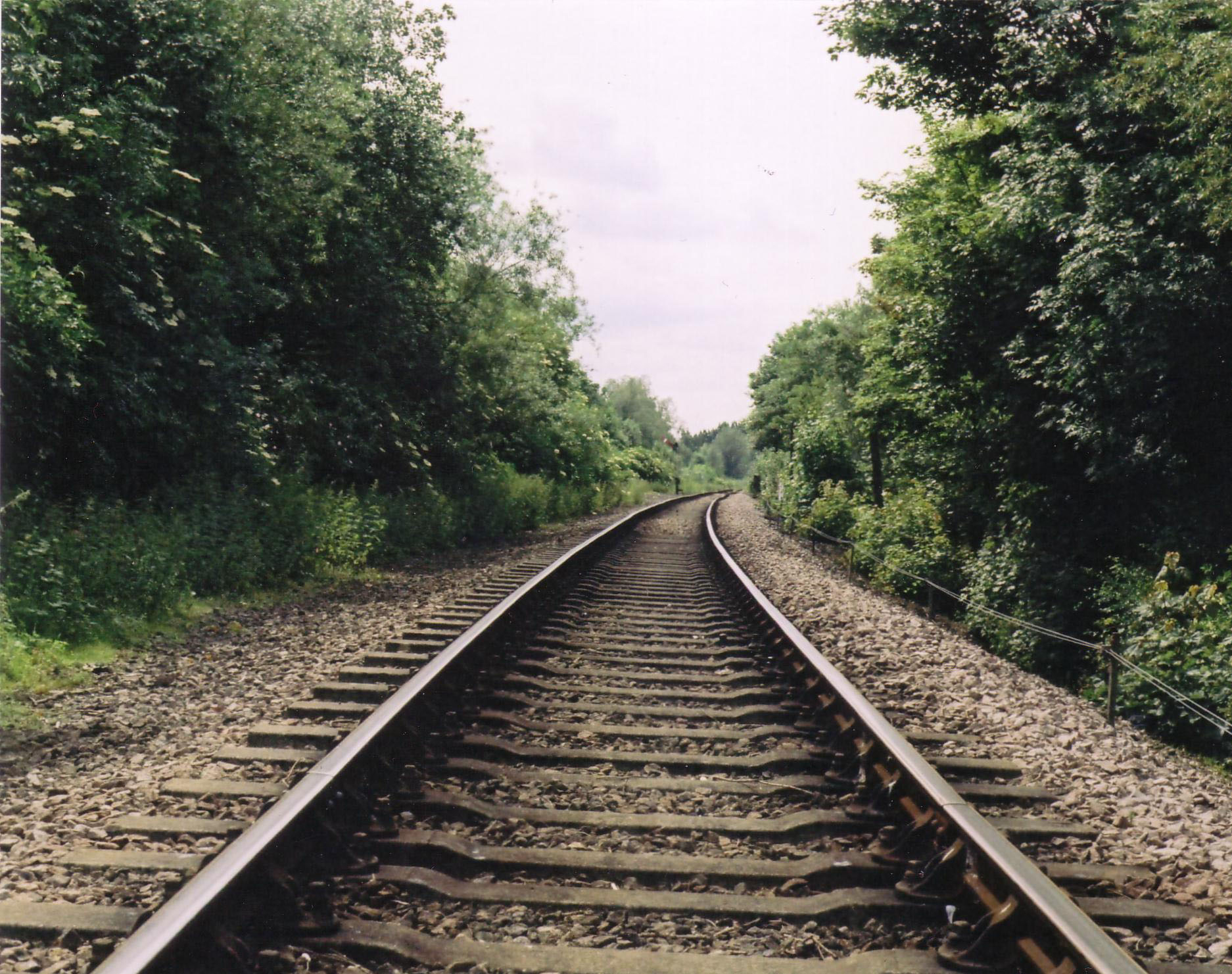 Railroad Forest Surrounding Wallpapers