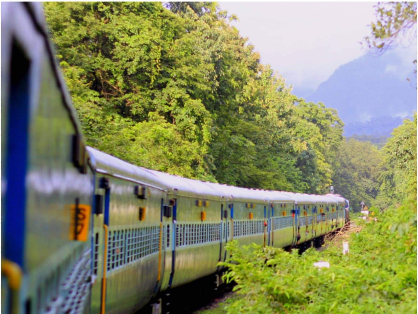 Railroad Forest Surrounding Wallpapers