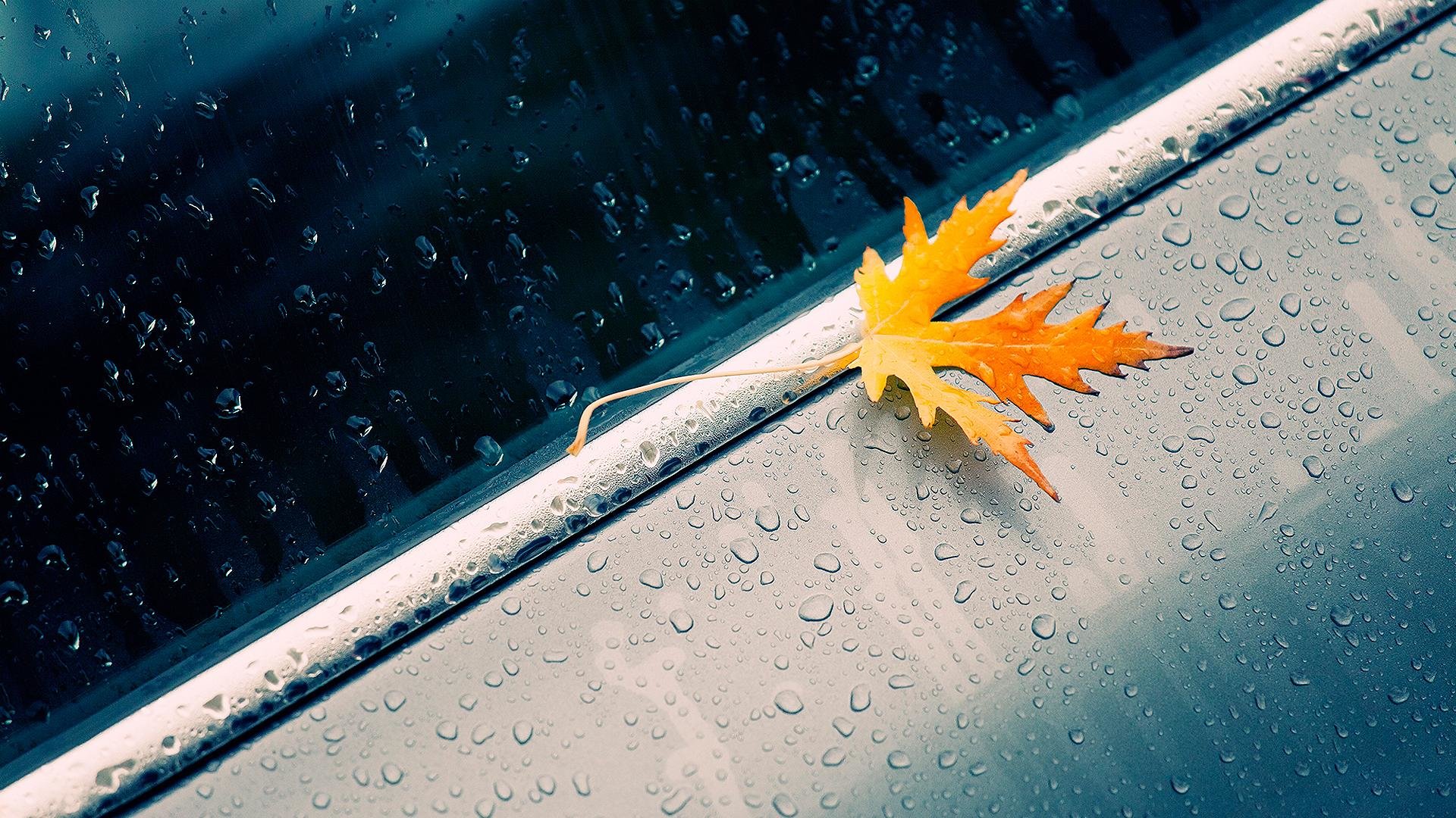 Rain Hd Wallpapers