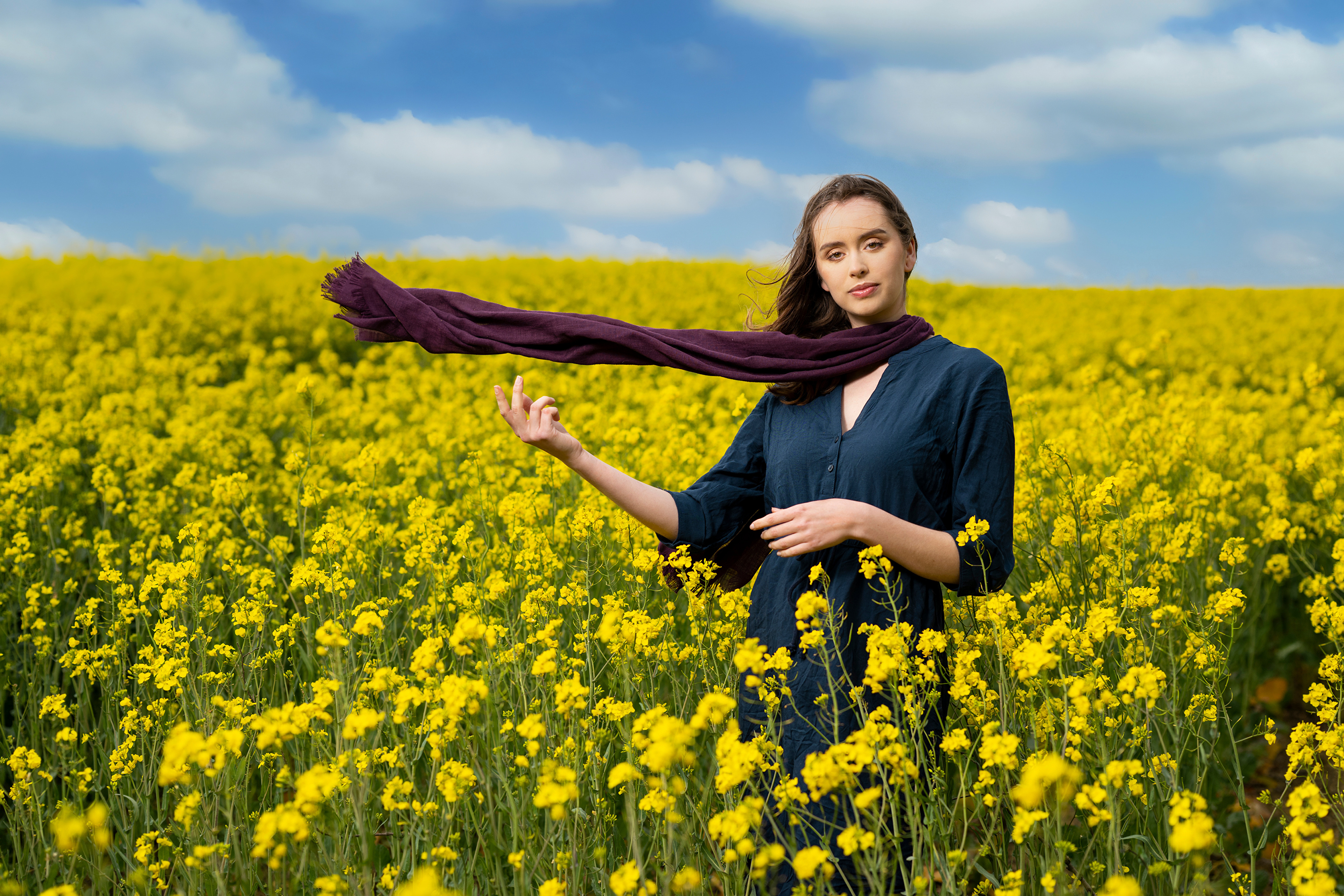 Rapeseed Wallpapers