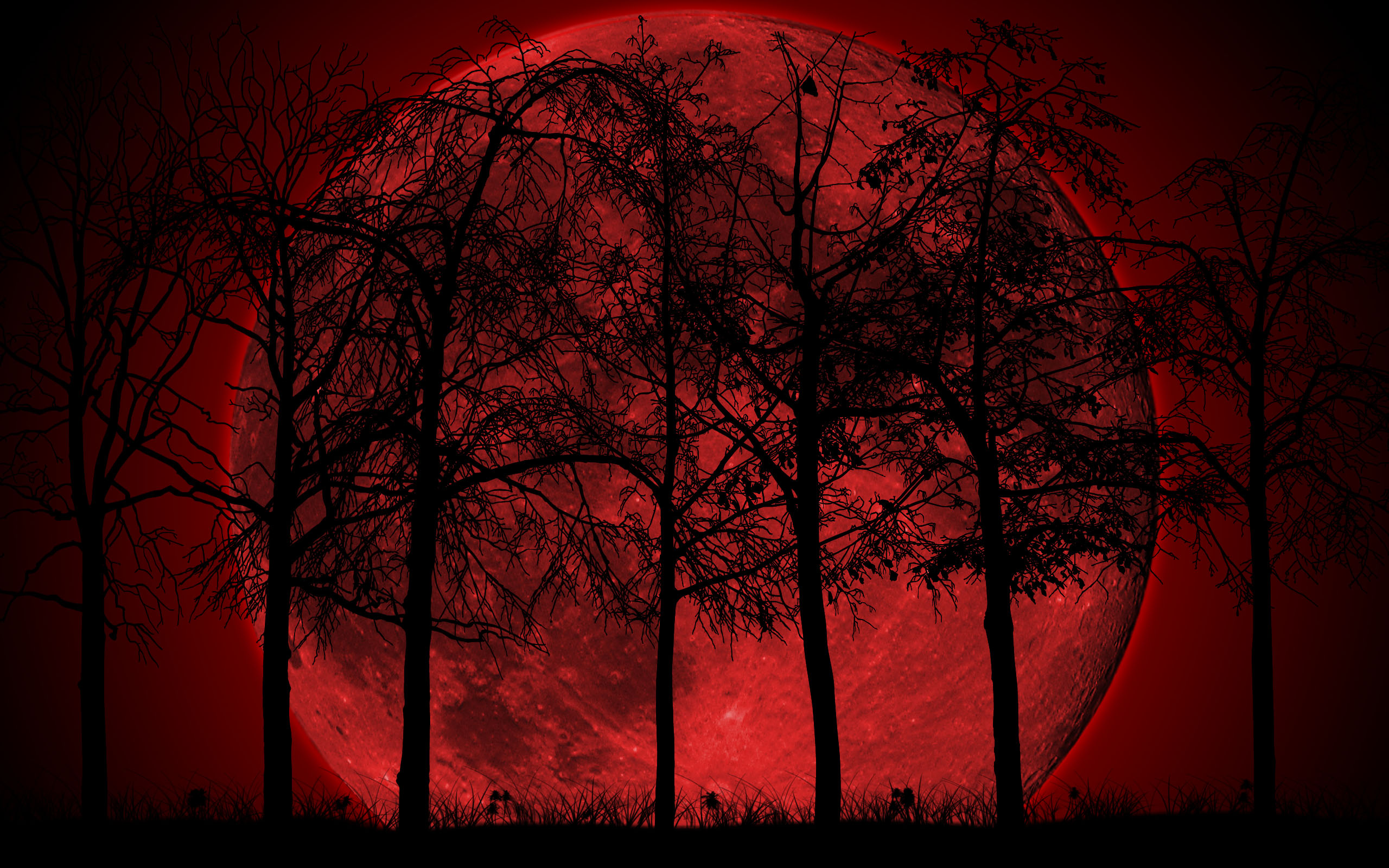 Red Forest Wallpapers