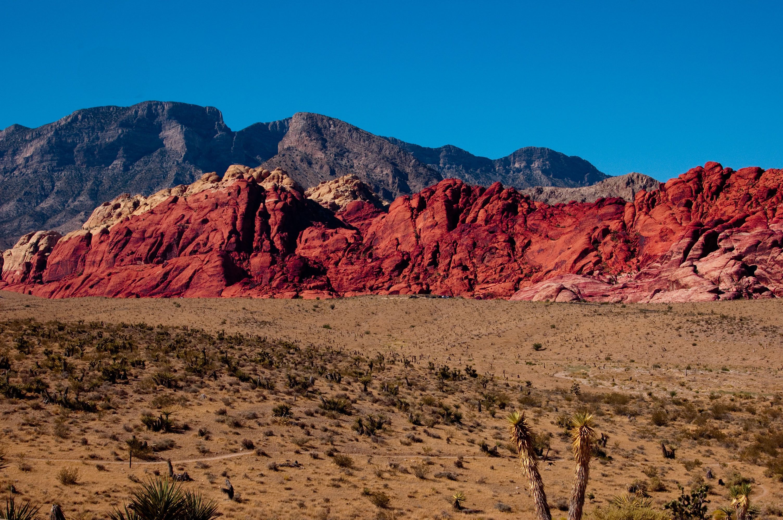 Red Rock Canyon Wallpapers