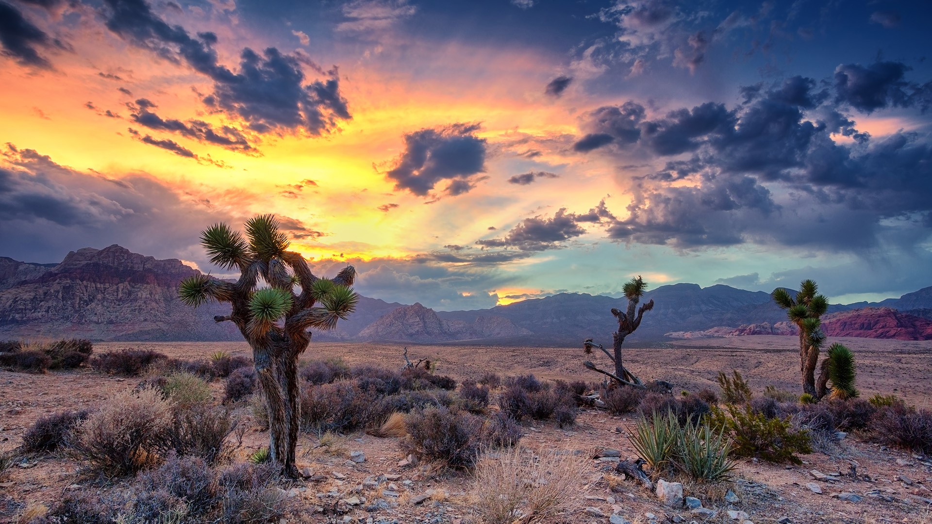 Red Rock Canyon Wallpapers