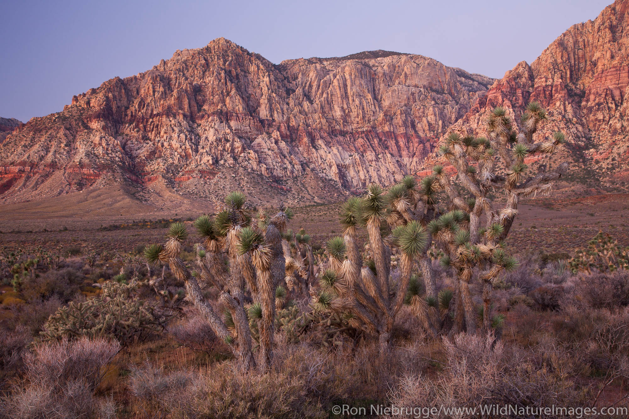 Red Rock Canyon Wallpapers