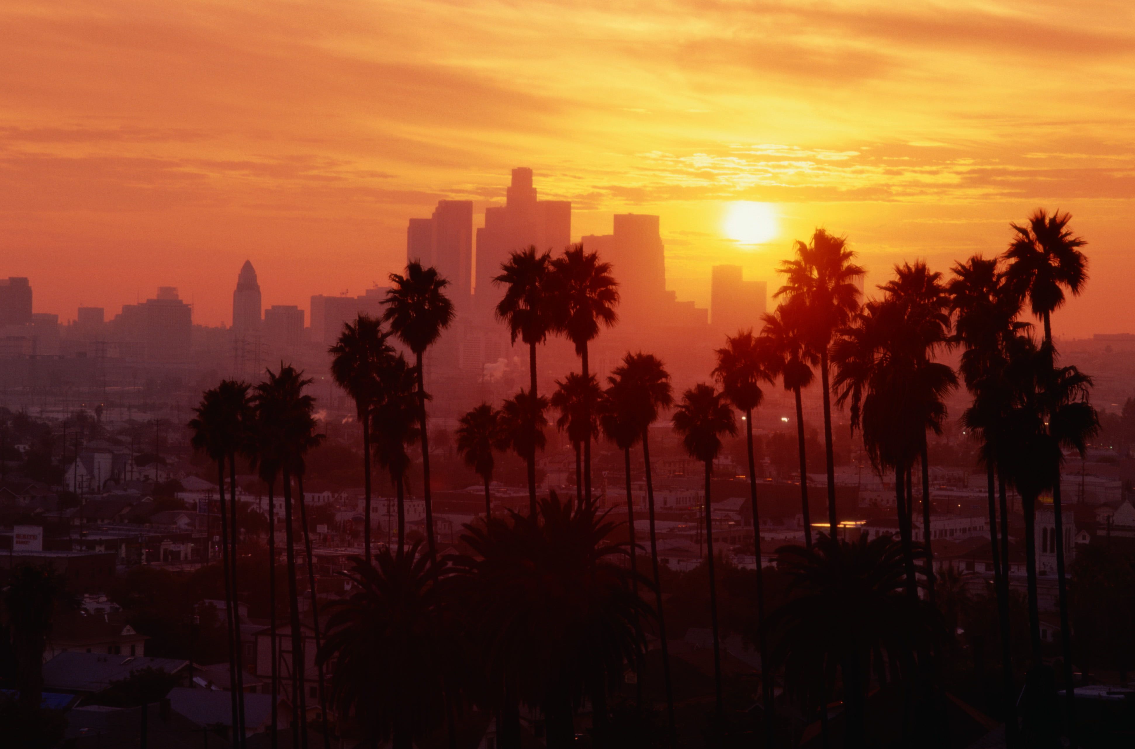 Red Sunset Skyline And Trees Wallpapers