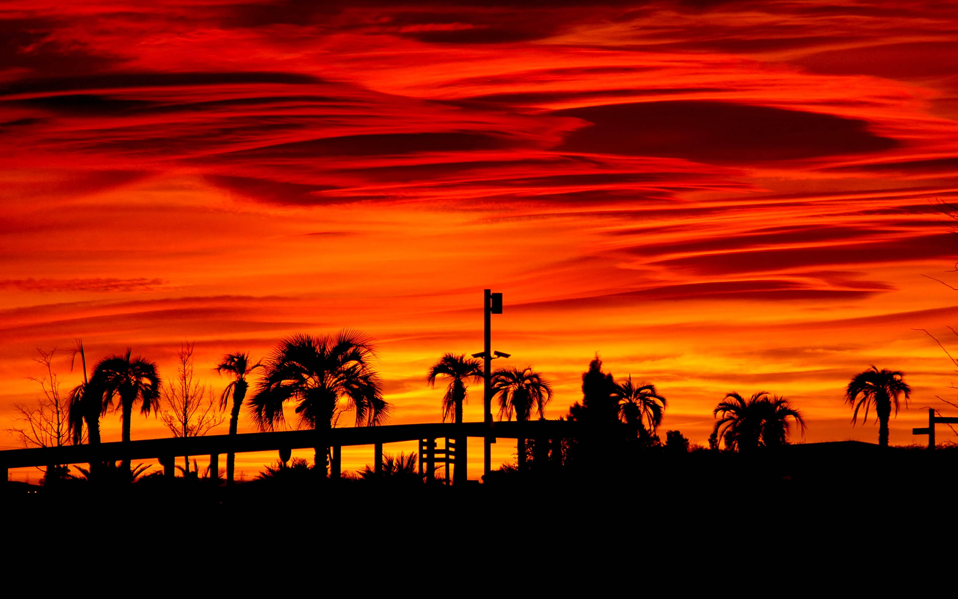 Red Sunset Skyline And Trees Wallpapers