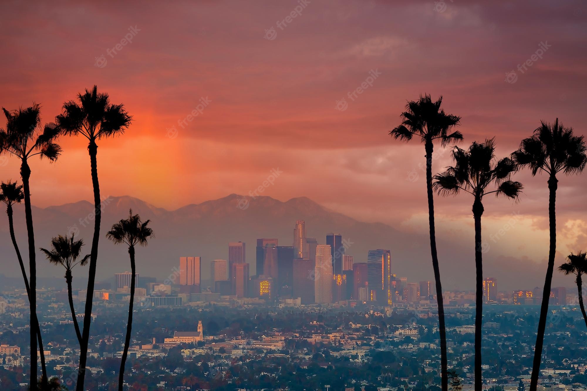 Red Sunset Skyline And Trees Wallpapers