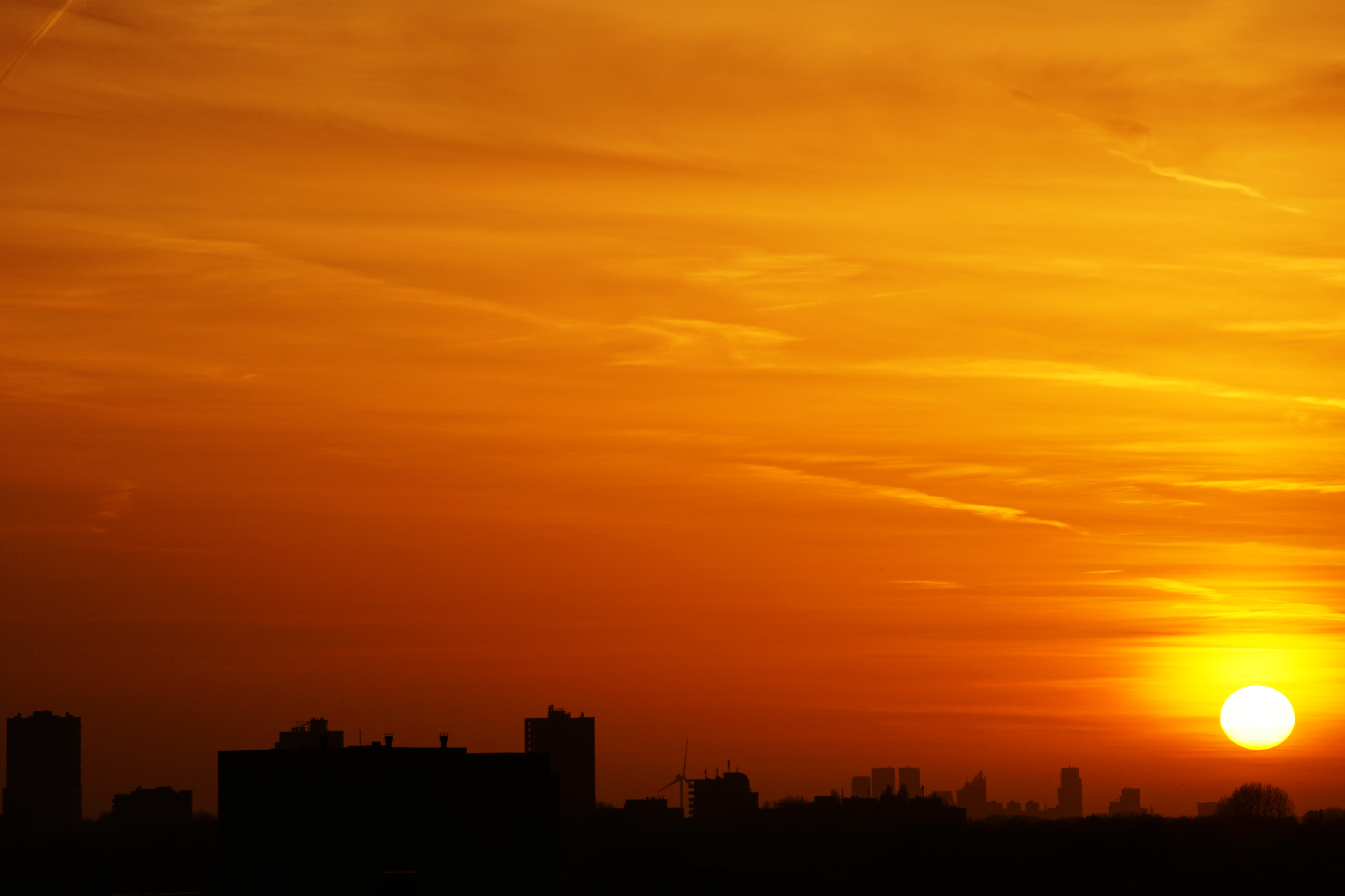 Red Sunset Skyline And Trees Wallpapers