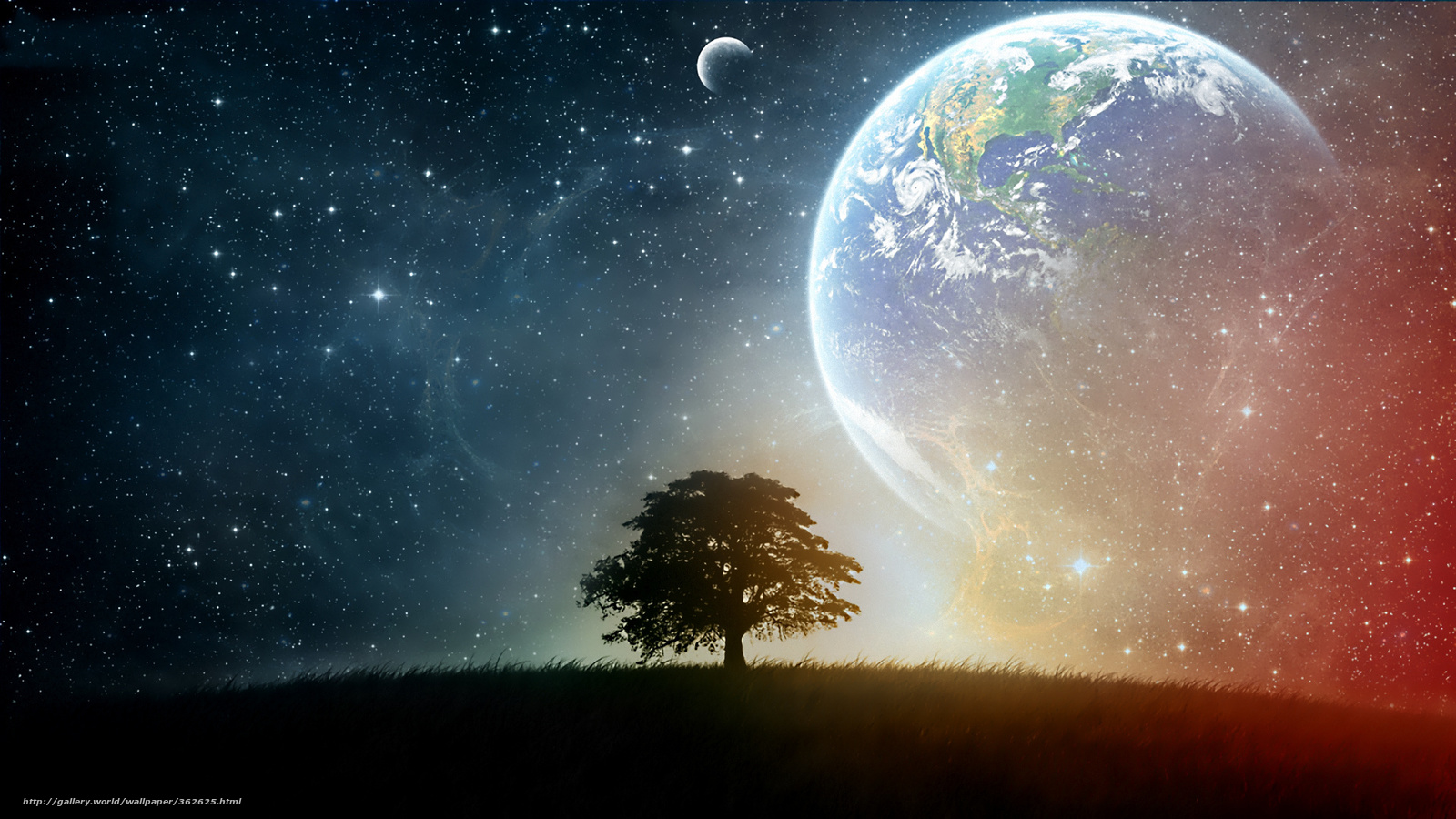 Rising Planet Behind Tree Wallpapers