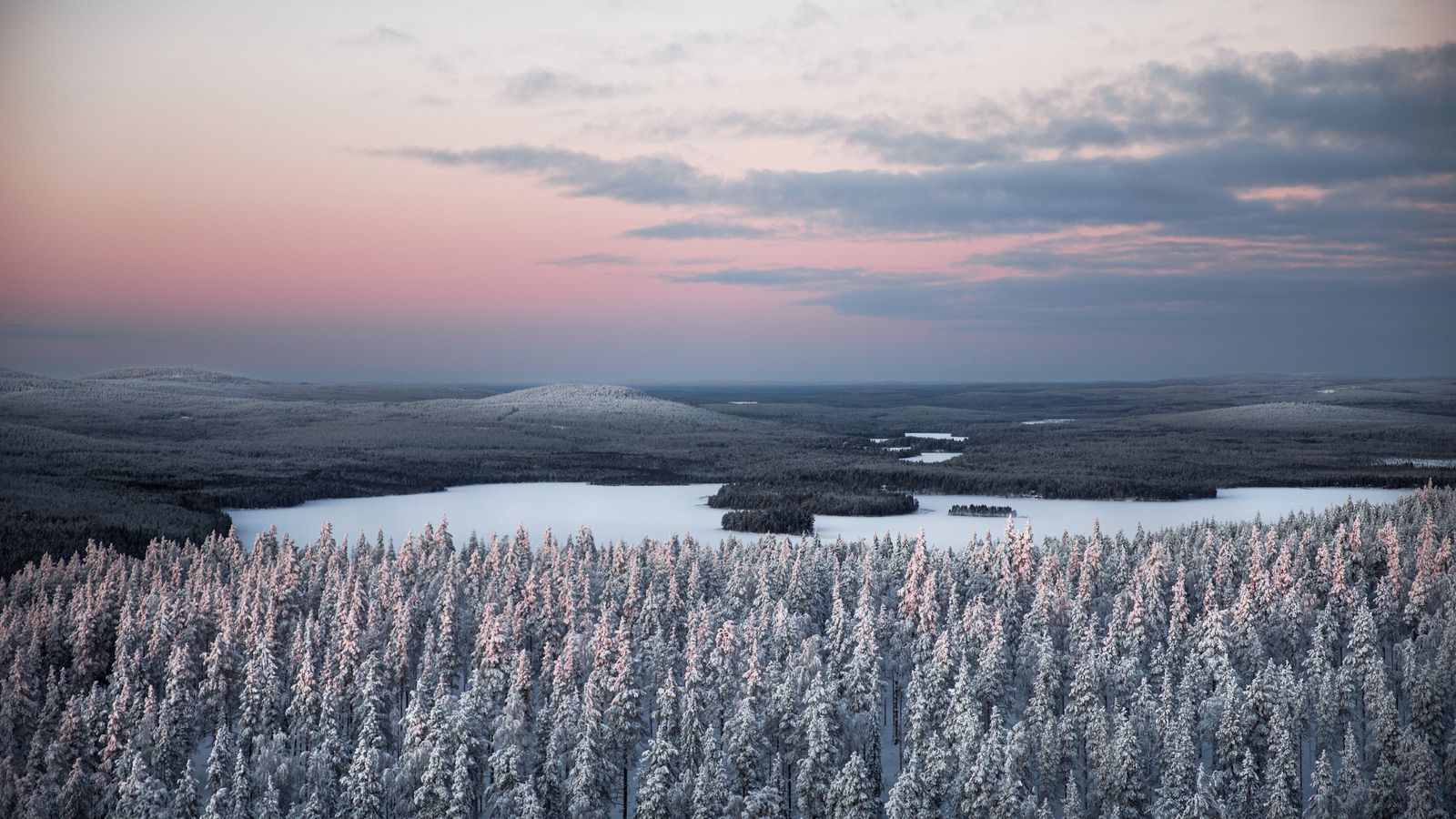 River And Forest Sunset Drone View Wallpapers