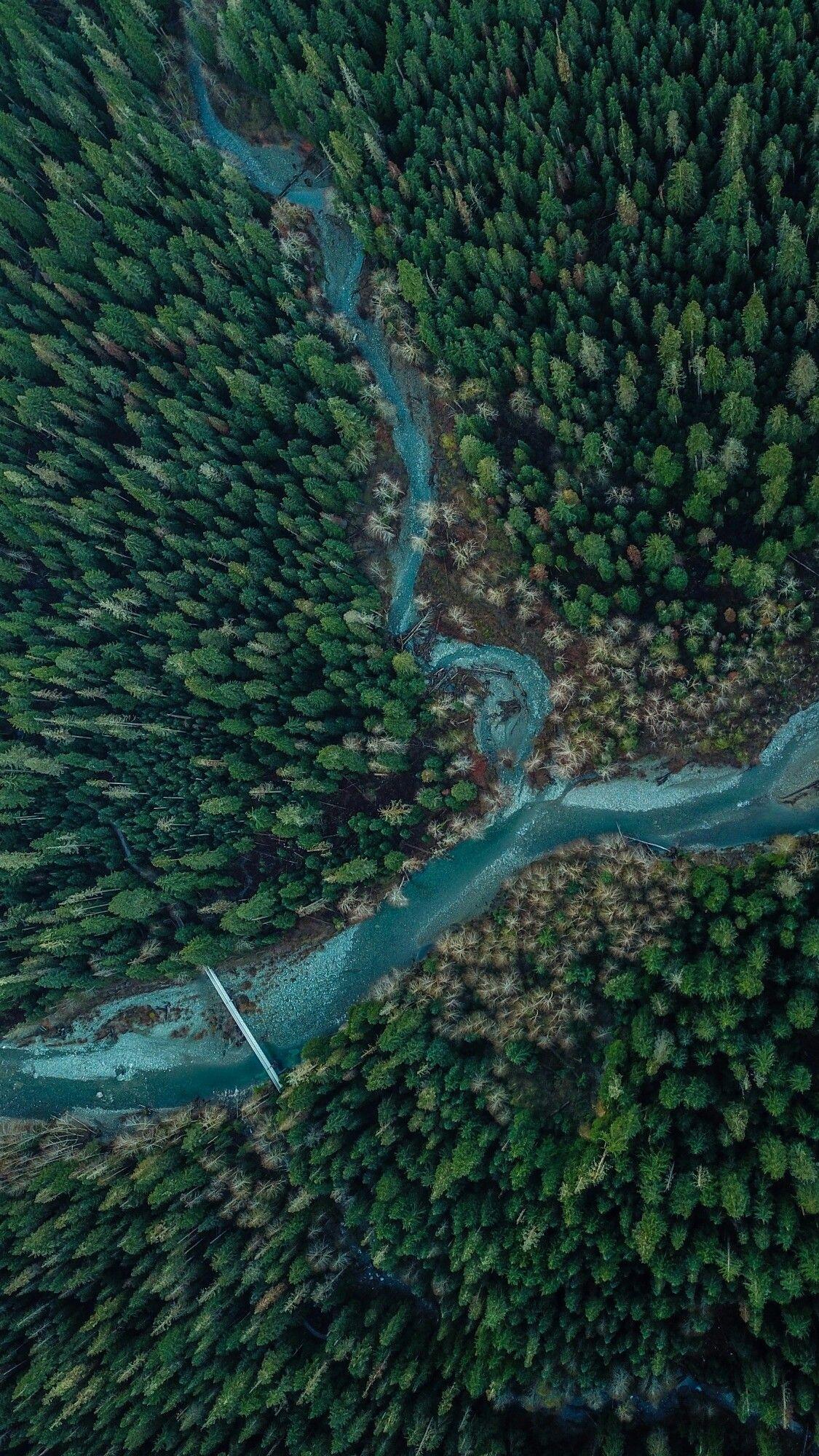 River And Forest Sunset Drone View Wallpapers