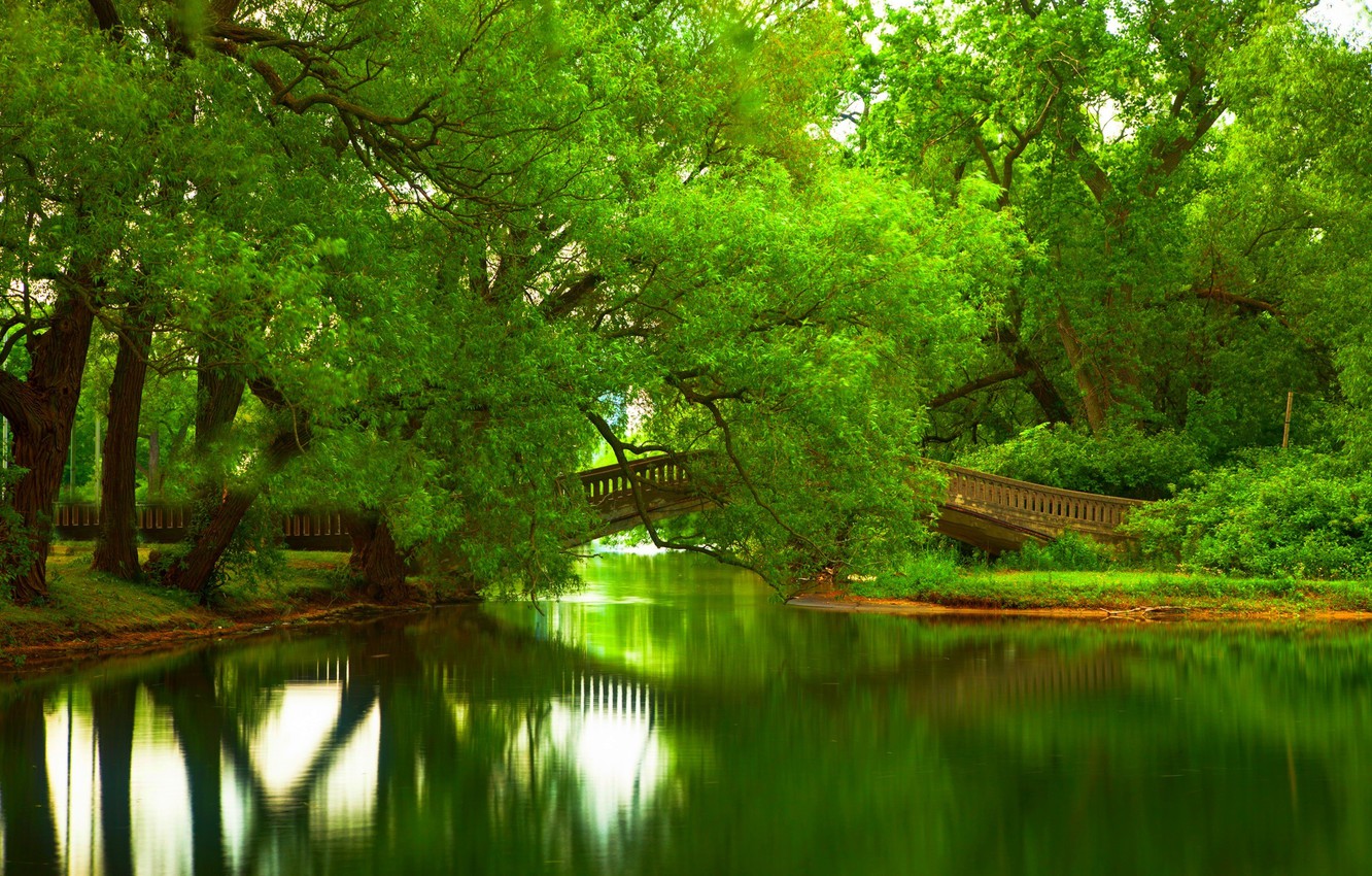 River In Colorful Forest Wallpapers
