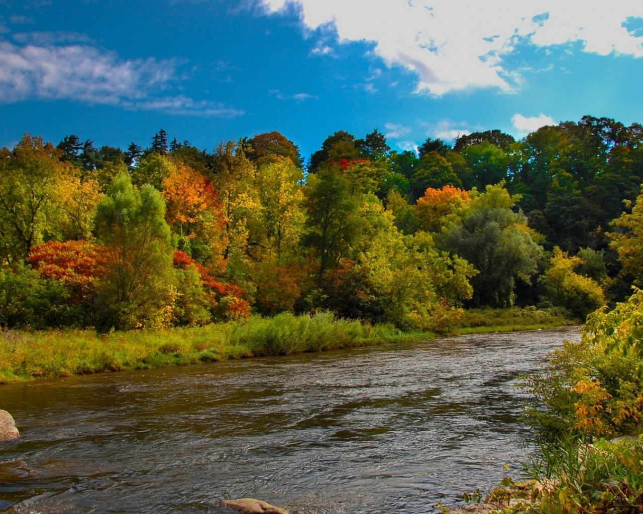 River In Colorful Forest Wallpapers