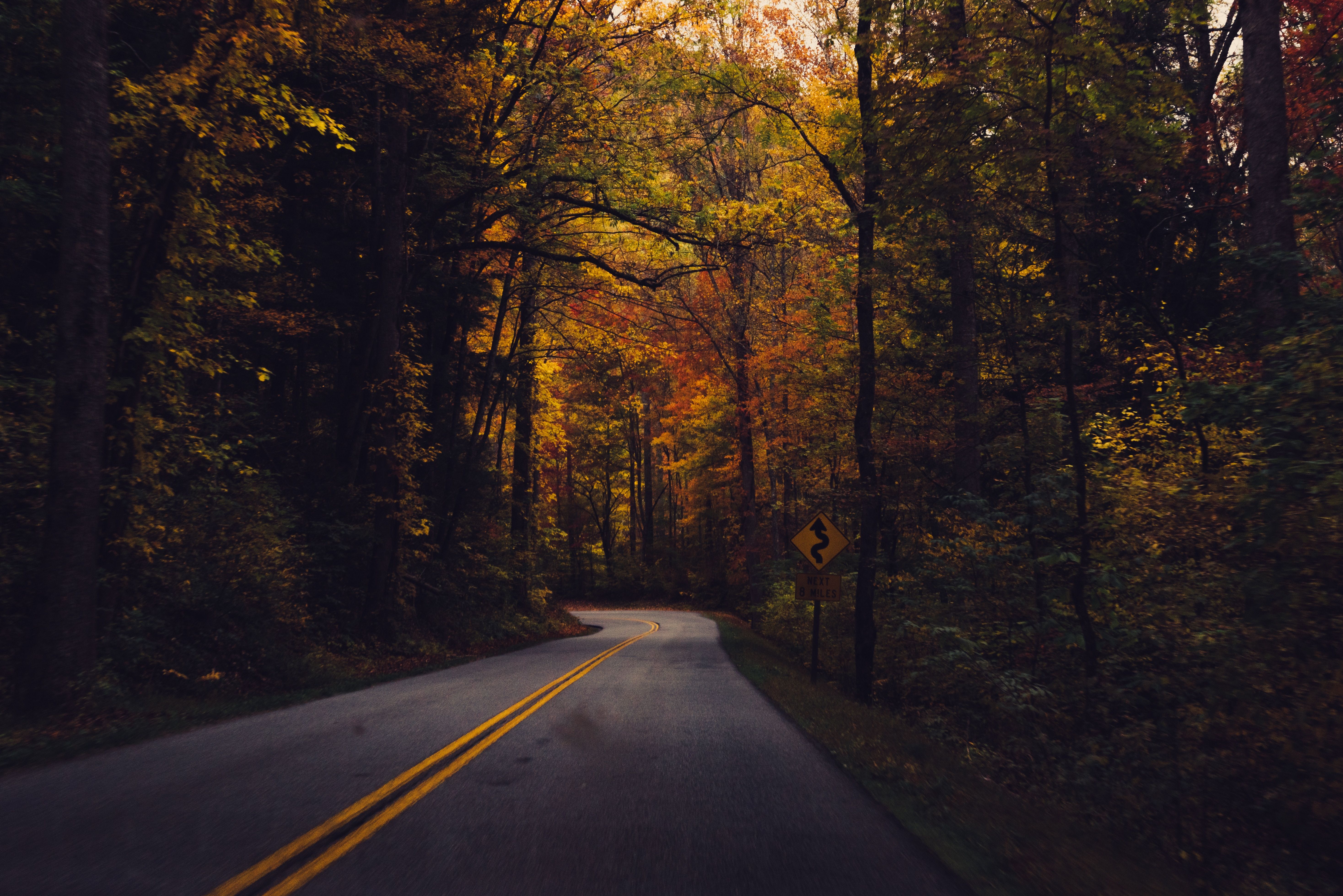 Road Between Green Yellow Autumn Fall Field Wallpapers