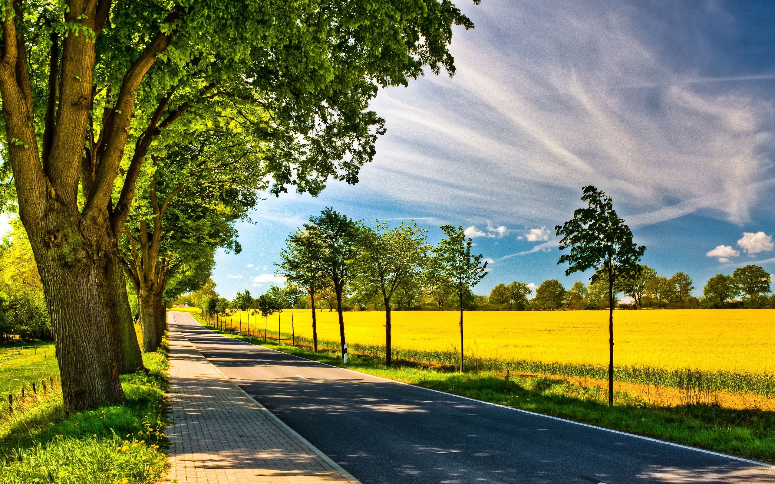 Road Between Green Yellow Autumn Fall Field Wallpapers